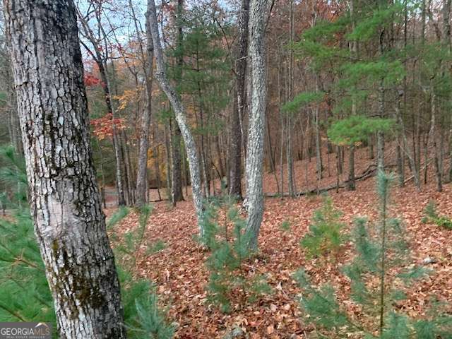 residential lot for sale at LOT 4 Courtney Lane, Blairsville, GA 30512 — photo 9