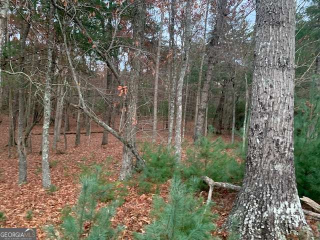 residential lot for sale at LOT 4 Courtney Lane, Blairsville, GA 30512 — photo 10