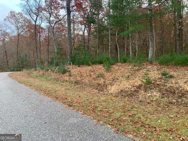 residential lot for sale at LOT 4 Courtney Lane, Blairsville, GA 30512 — photo 4