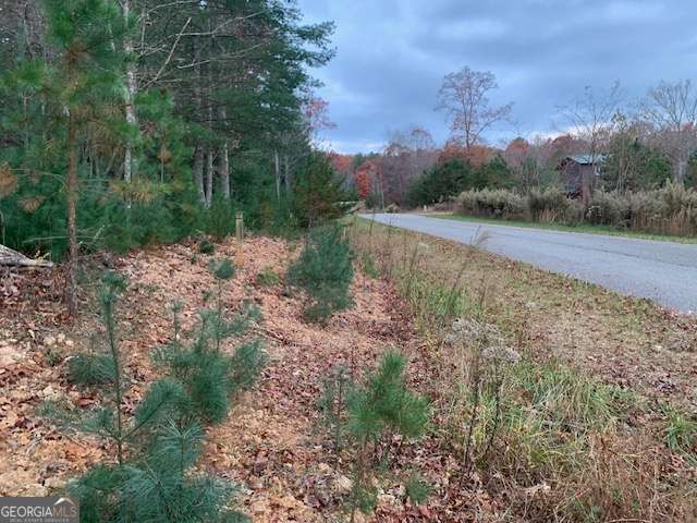residential lot for sale at LOT 4 Courtney Lane, Blairsville, GA 30512 — photo 8