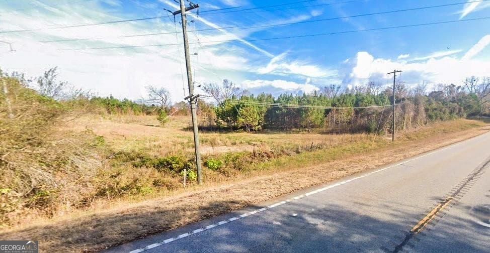 agriculture for sale at 0 Washington Highway, Union Point, GA 30669 — photo 2