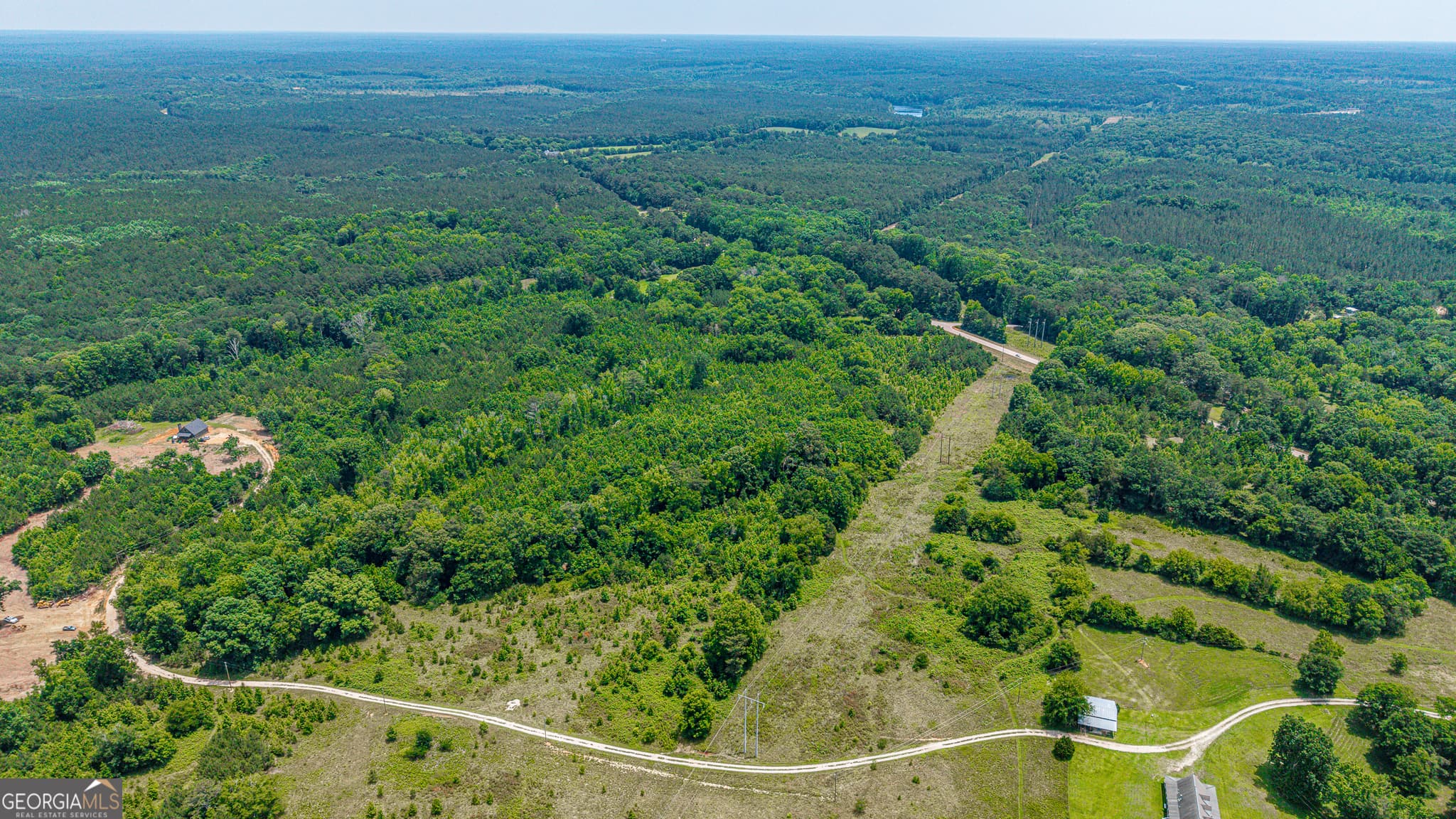 agriculture for sale at 0 Washington Highway, Union Point, GA 30669 — photo 6