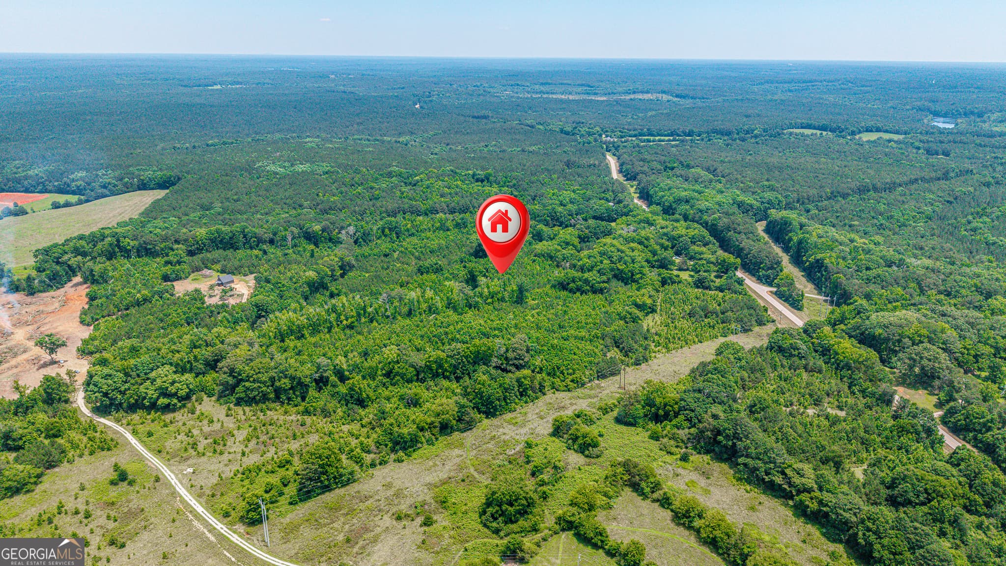 agriculture for sale at 0 Washington Highway, Union Point, GA 30669 — photo 7