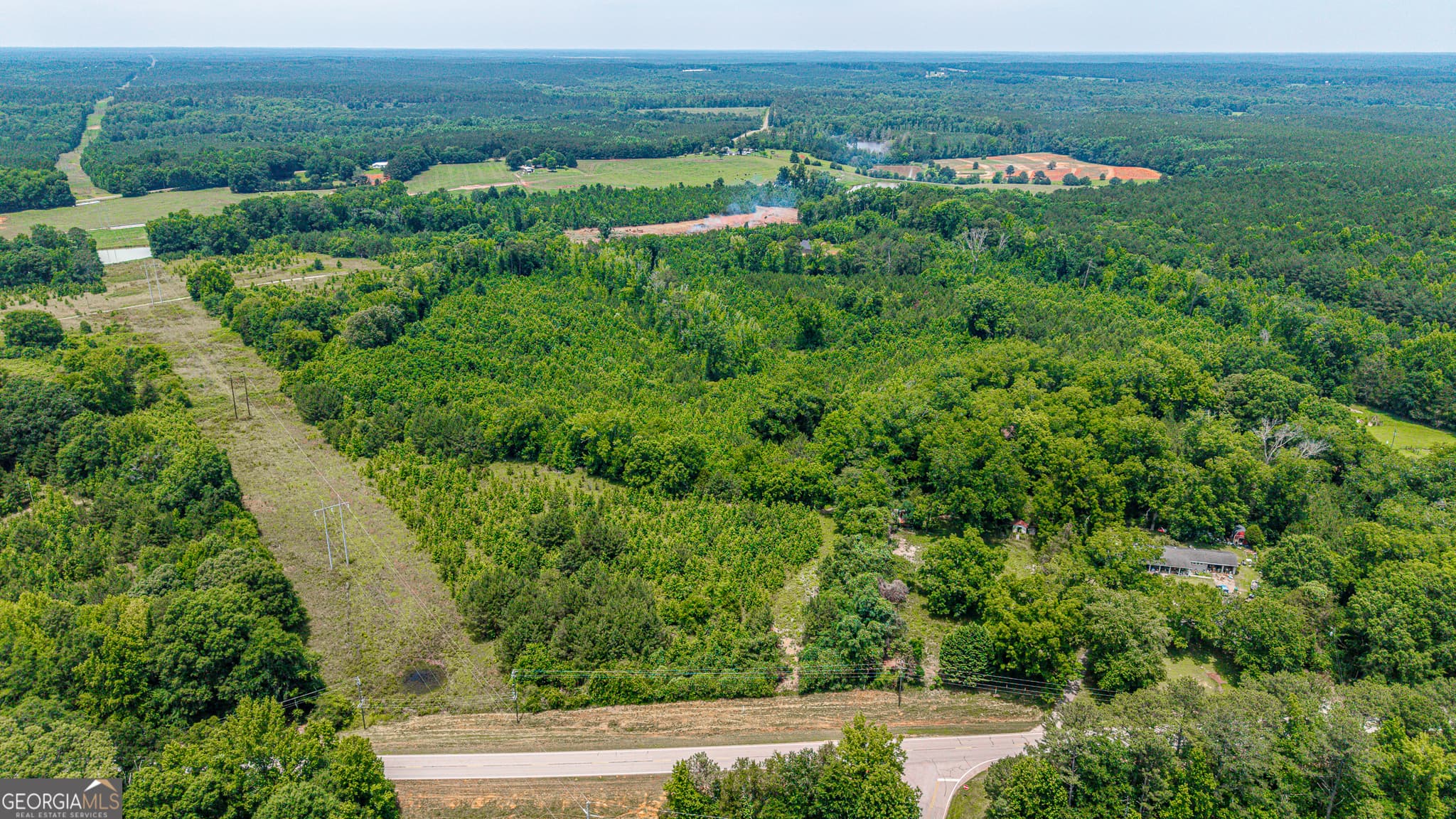 agriculture for sale at 0 Washington Highway, Union Point, GA 30669 — photo 3