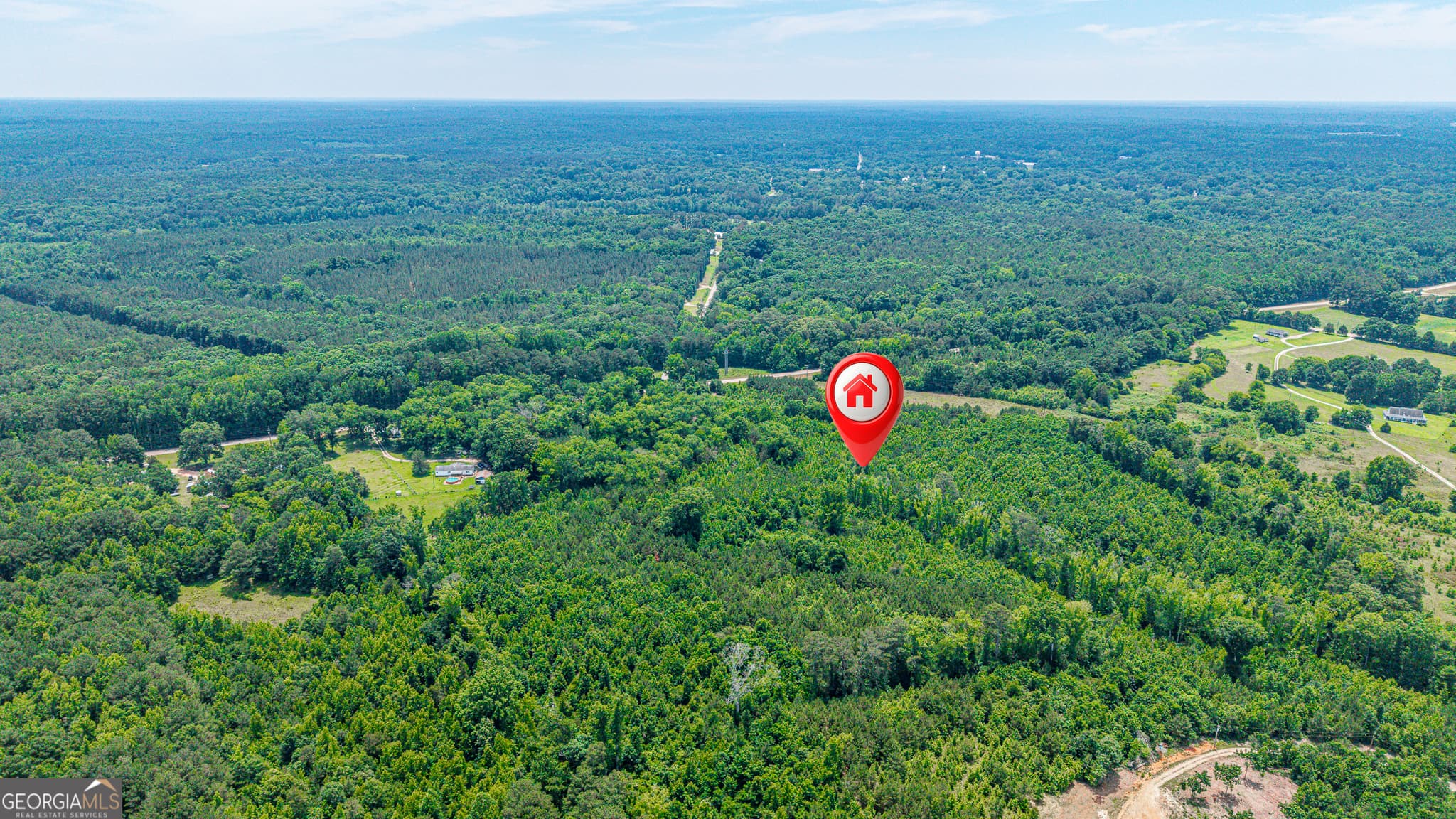 agriculture for sale at 0 Washington Highway, Union Point, GA 30669 — photo 5