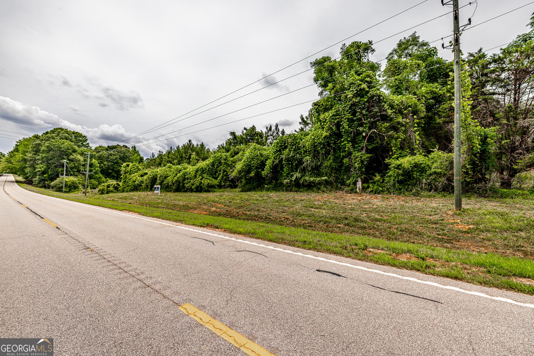 agriculture for sale at 0 Washington Highway, Union Point, GA 30669 — photo 10
