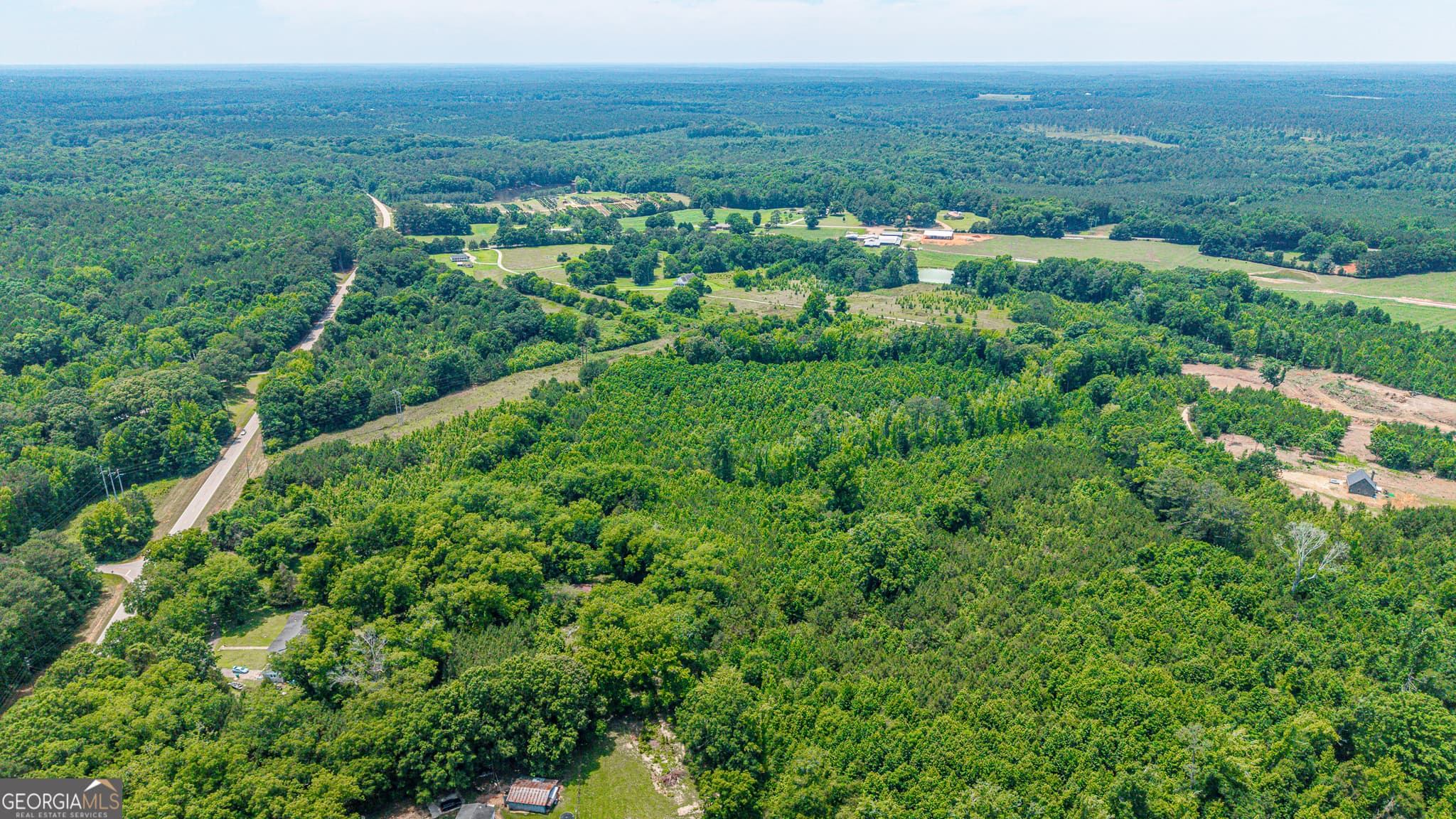 agriculture for sale at 0 Washington Highway, Union Point, GA 30669 — photo 4