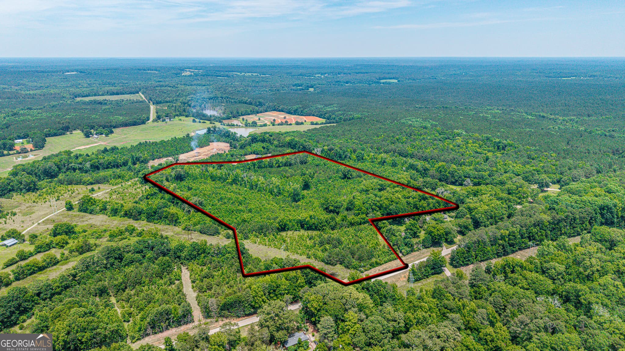 agriculture for sale at 0 Washington Highway, Union Point, GA 30669 — photo 8