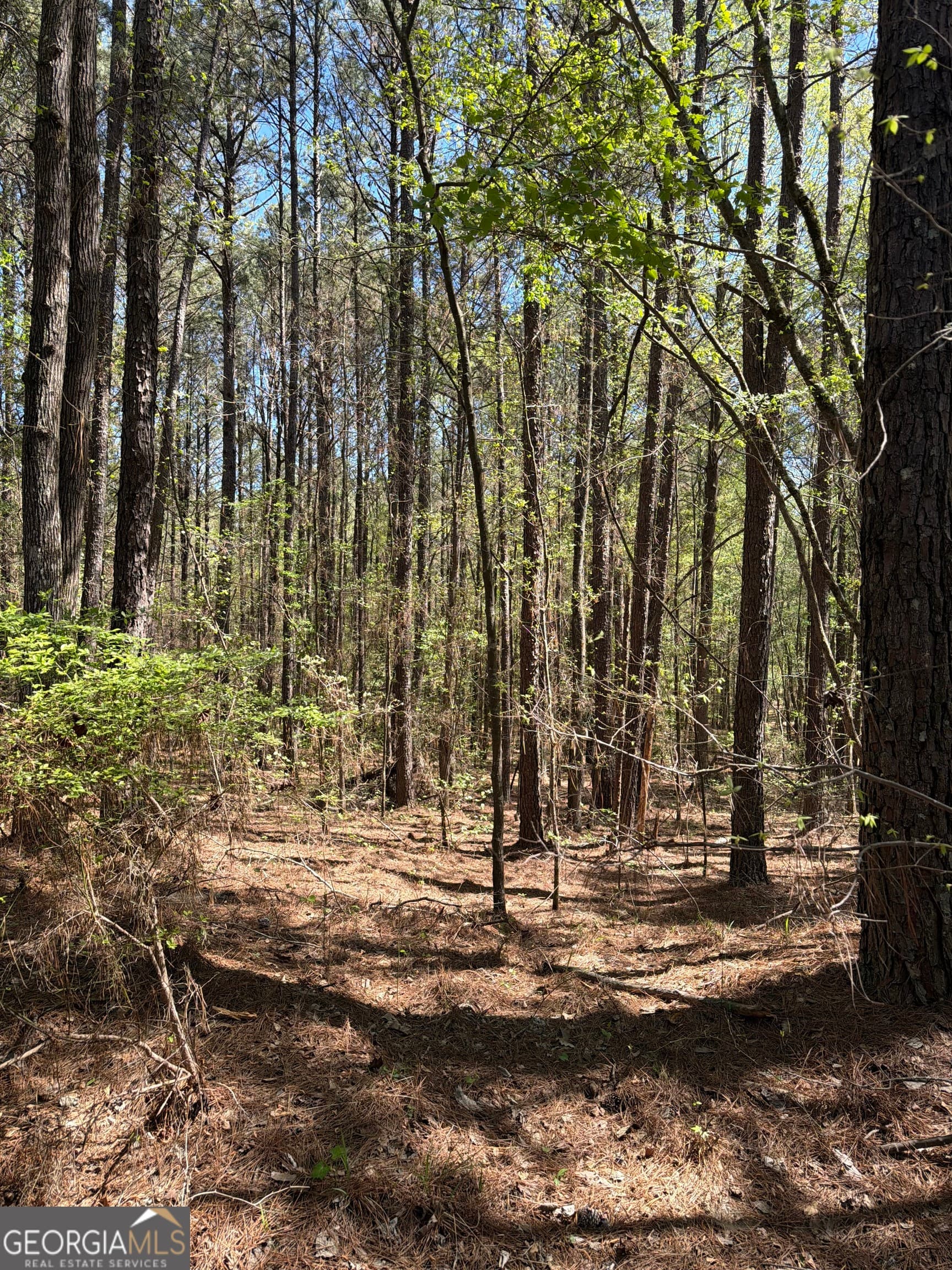 unimproved land for sale at 0 Old Union Point Road, Greensboro, GA 30642 — photo 2