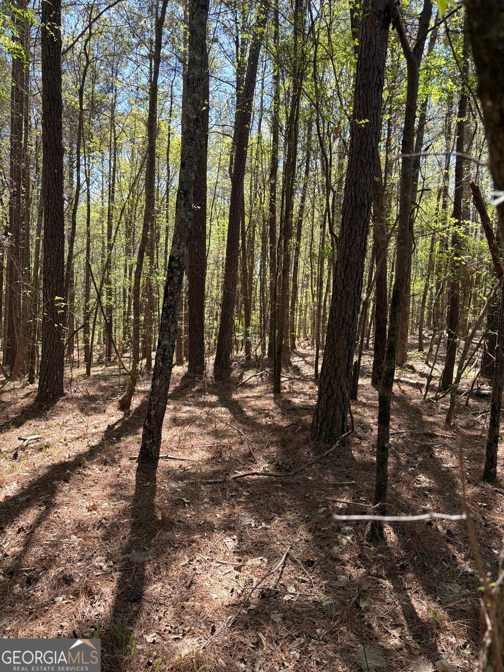 unimproved land for sale at 0 Old Union Point Road, Greensboro, GA 30642 — photo 3