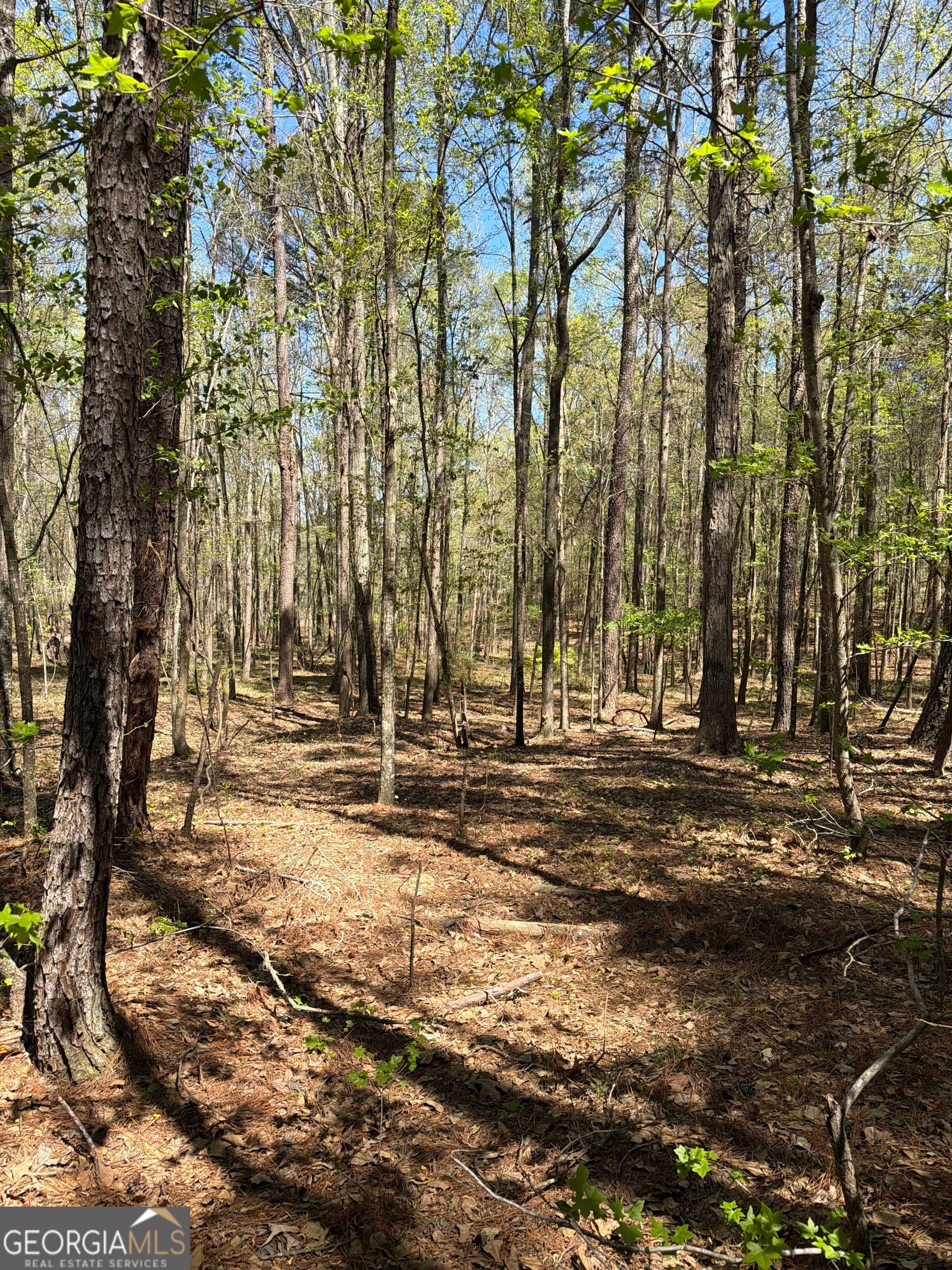 unimproved land for sale at 0 Old Union Point Road, Greensboro, GA 30642 — photo 5