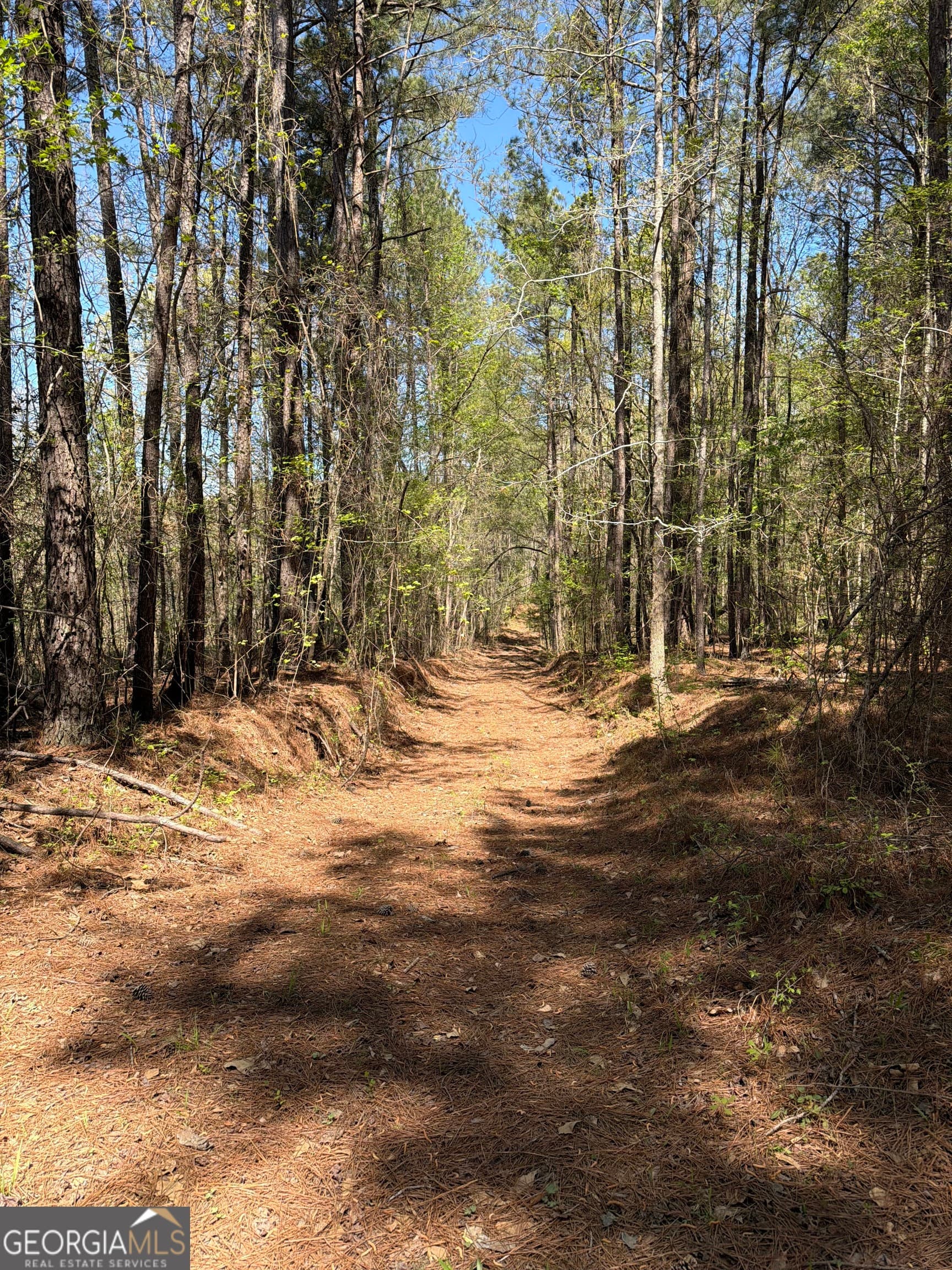 unimproved land for sale at 0 Old Union Point Road, Greensboro, GA 30642 — photo 4