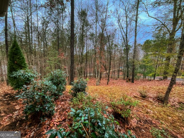3 bedroom, 2 bathroom, 1,694 sq ft single family residence for sale at 60 Mossy Oak Court, Ellijay, GA 30540 — photo 3