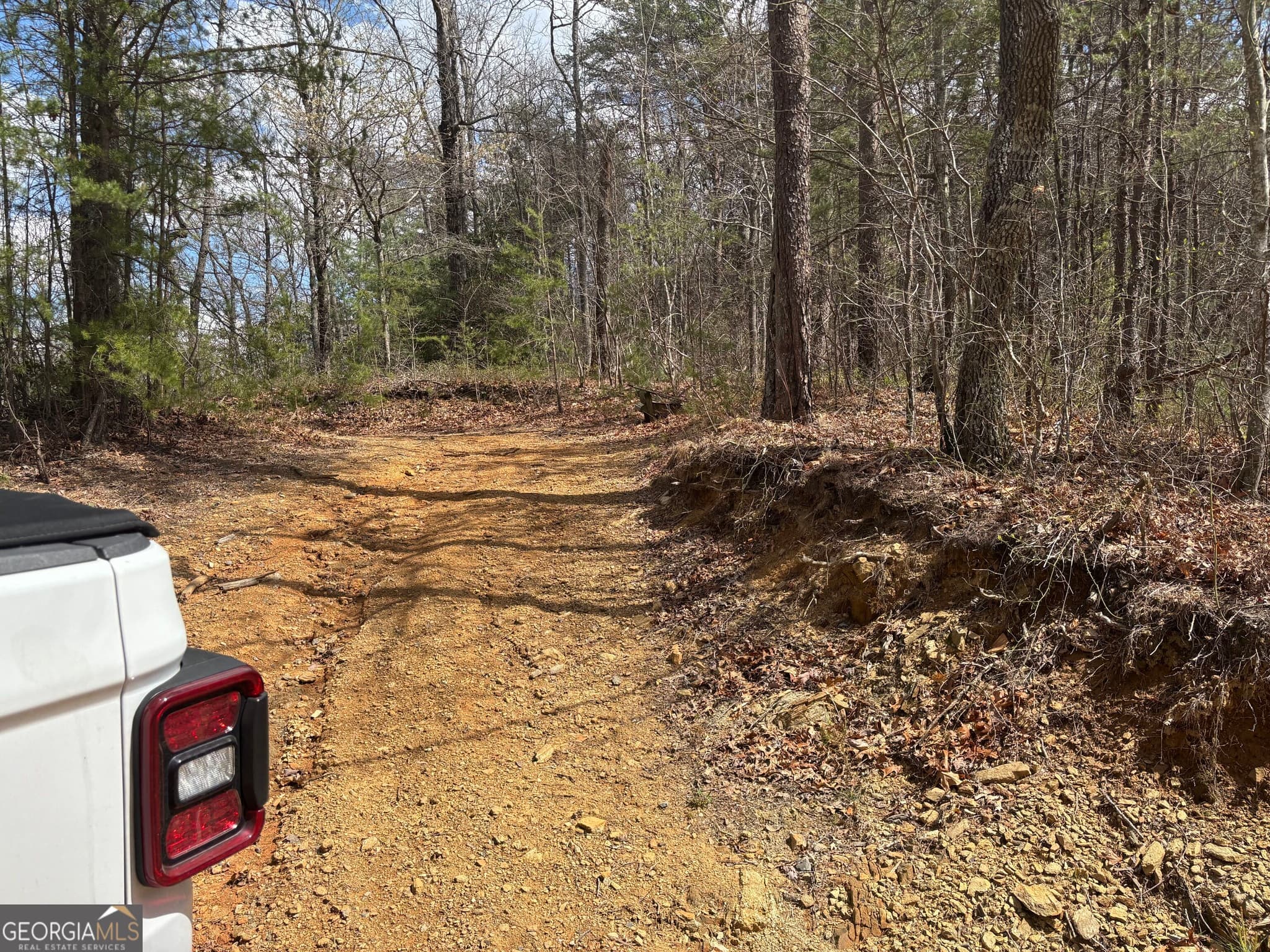 residential lot for sale at 0 Laurel Branch, Dawsonville, GA 30534 — photo 2