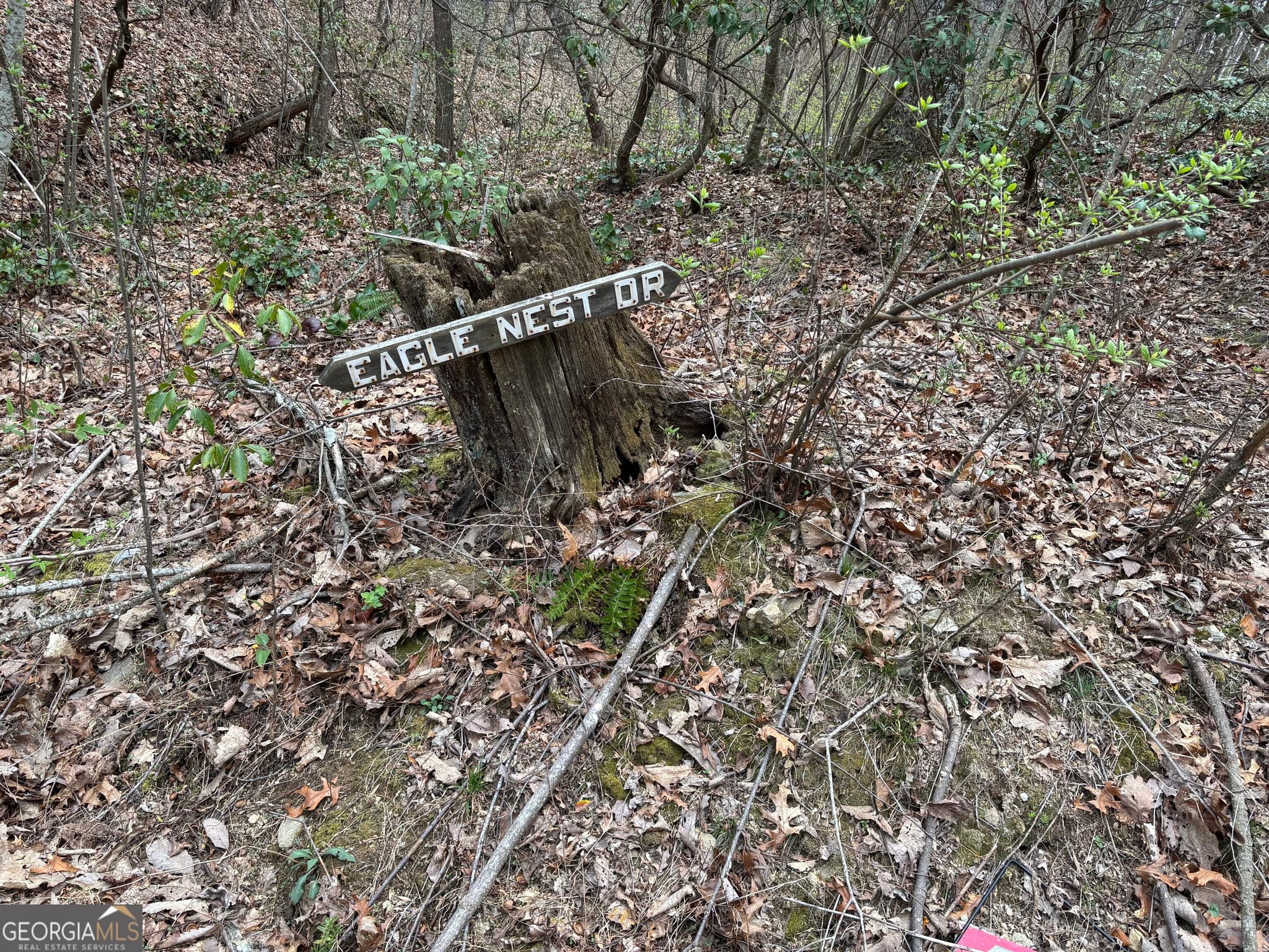 residential lot for sale at 0 Laurel Branch, Dawsonville, GA 30534 — photo 6