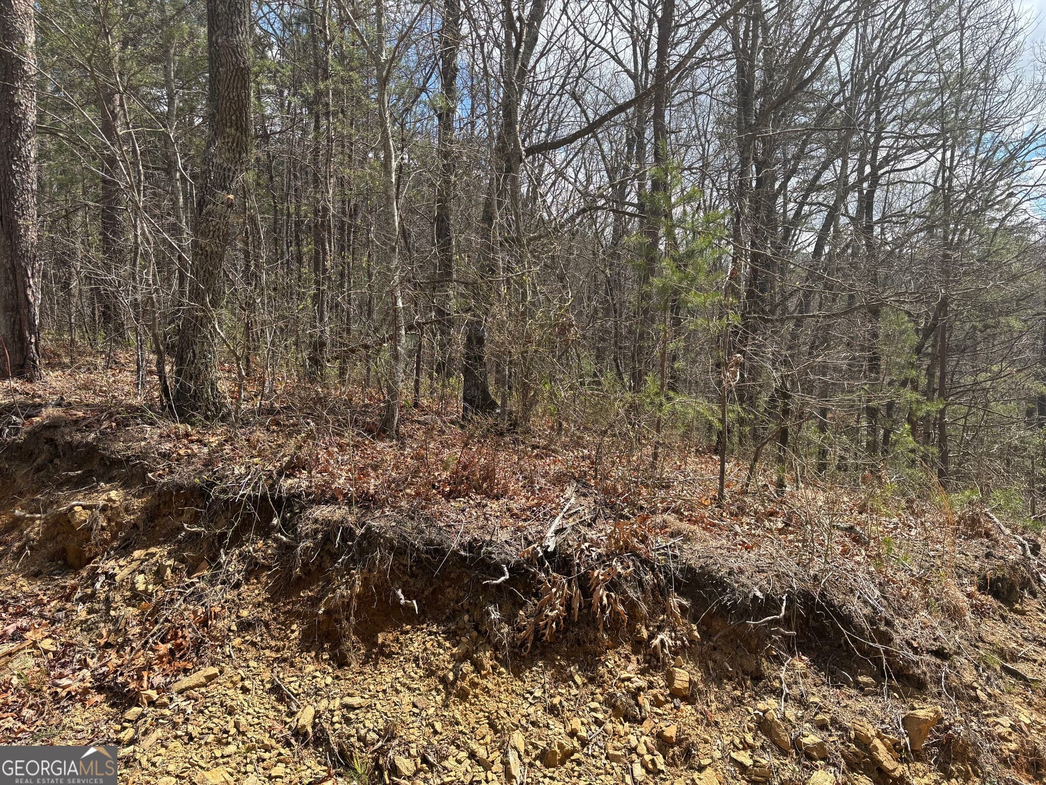 residential lot for sale at 0 Laurel Branch, Dawsonville, GA 30534 — photo 7