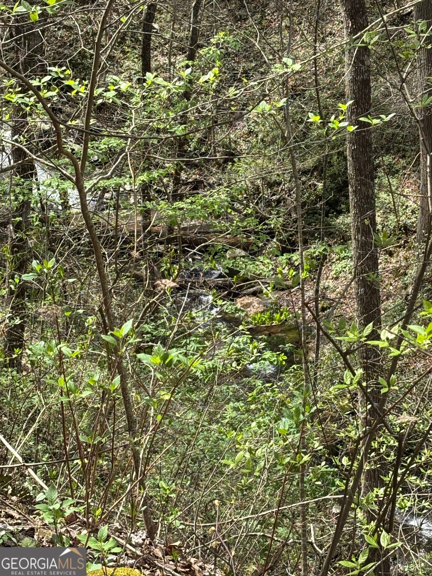 residential lot for sale at 0 Laurel Branch, Dawsonville, GA 30534 — photo 1 of 15