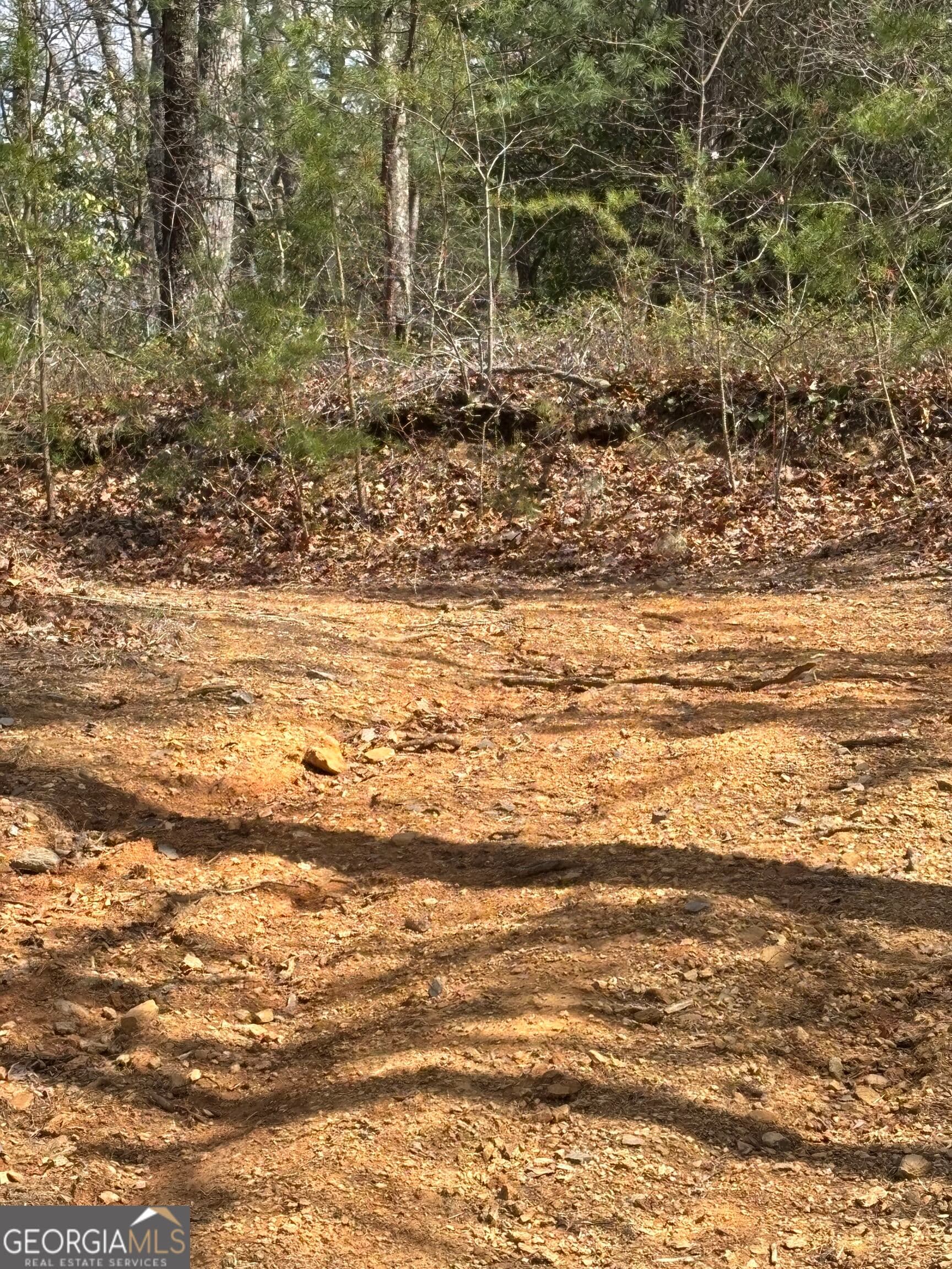 residential lot for sale at 0 Laurel Branch, Dawsonville, GA 30534 — photo 5