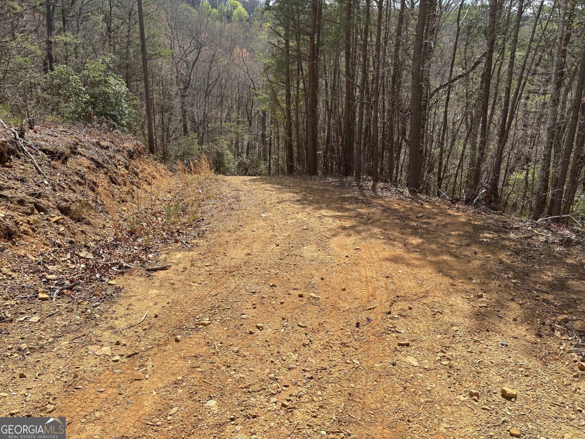 residential lot for sale at 0 Laurel Branch, Dawsonville, GA 30534 — photo 9
