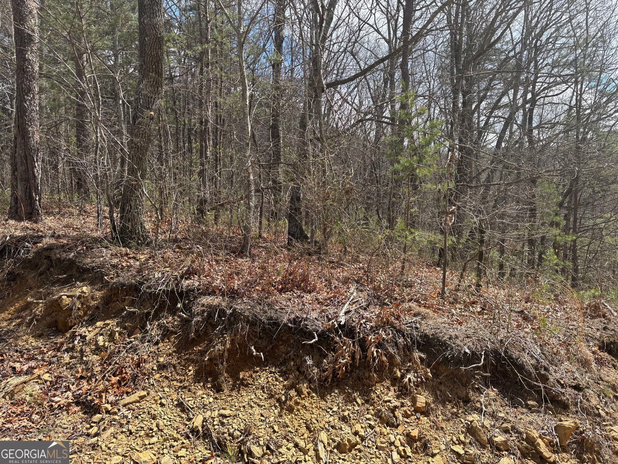residential lot for sale at 0 Laurel Branch, Dawsonville, GA 30534 — photo 8