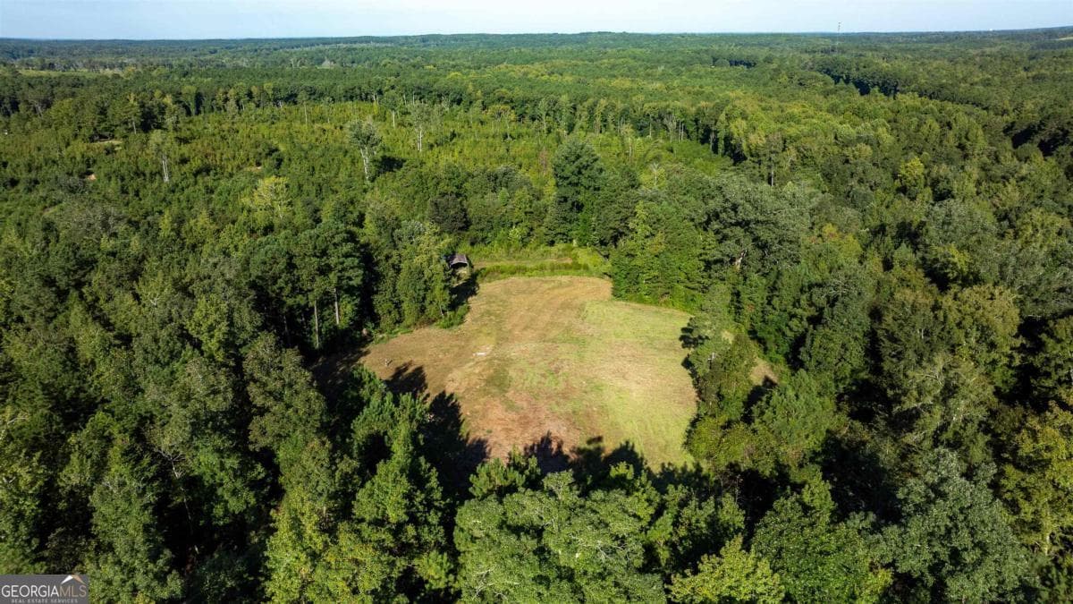agriculture for sale at 1901 Grey Land Road, Greensboro, GA 30642 — photo 9