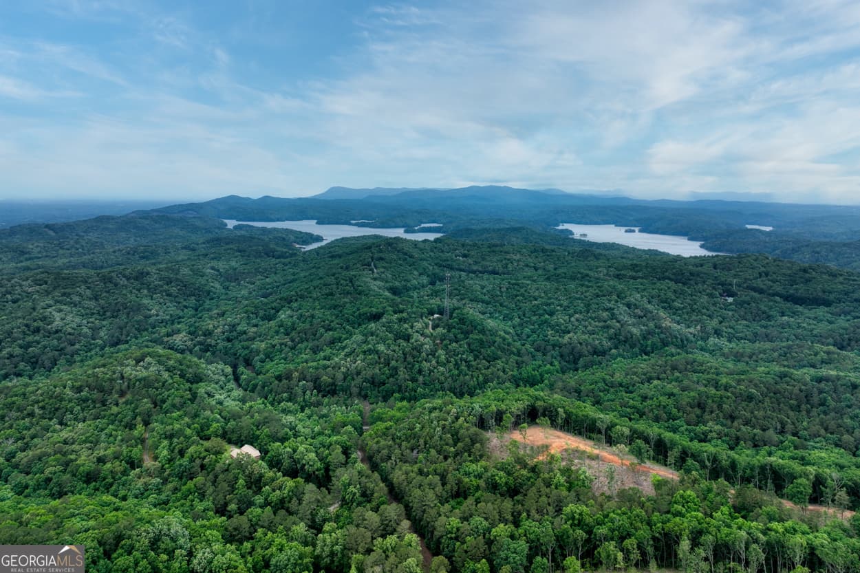 agriculture for sale at 0 Shady Grove Road, Talking Rock, GA 30175 — photo 2