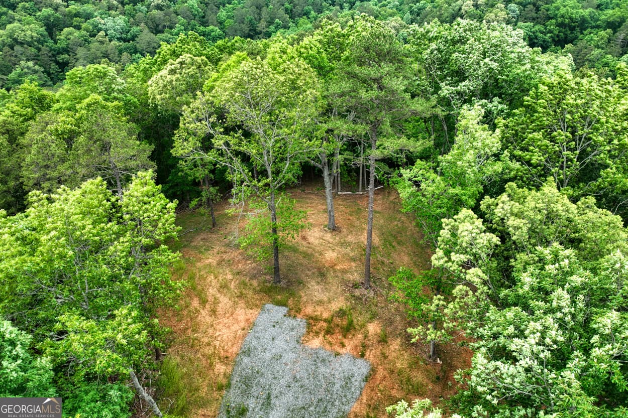 agriculture for sale at 0 Shady Grove Road, Talking Rock, GA 30175 — photo 6
