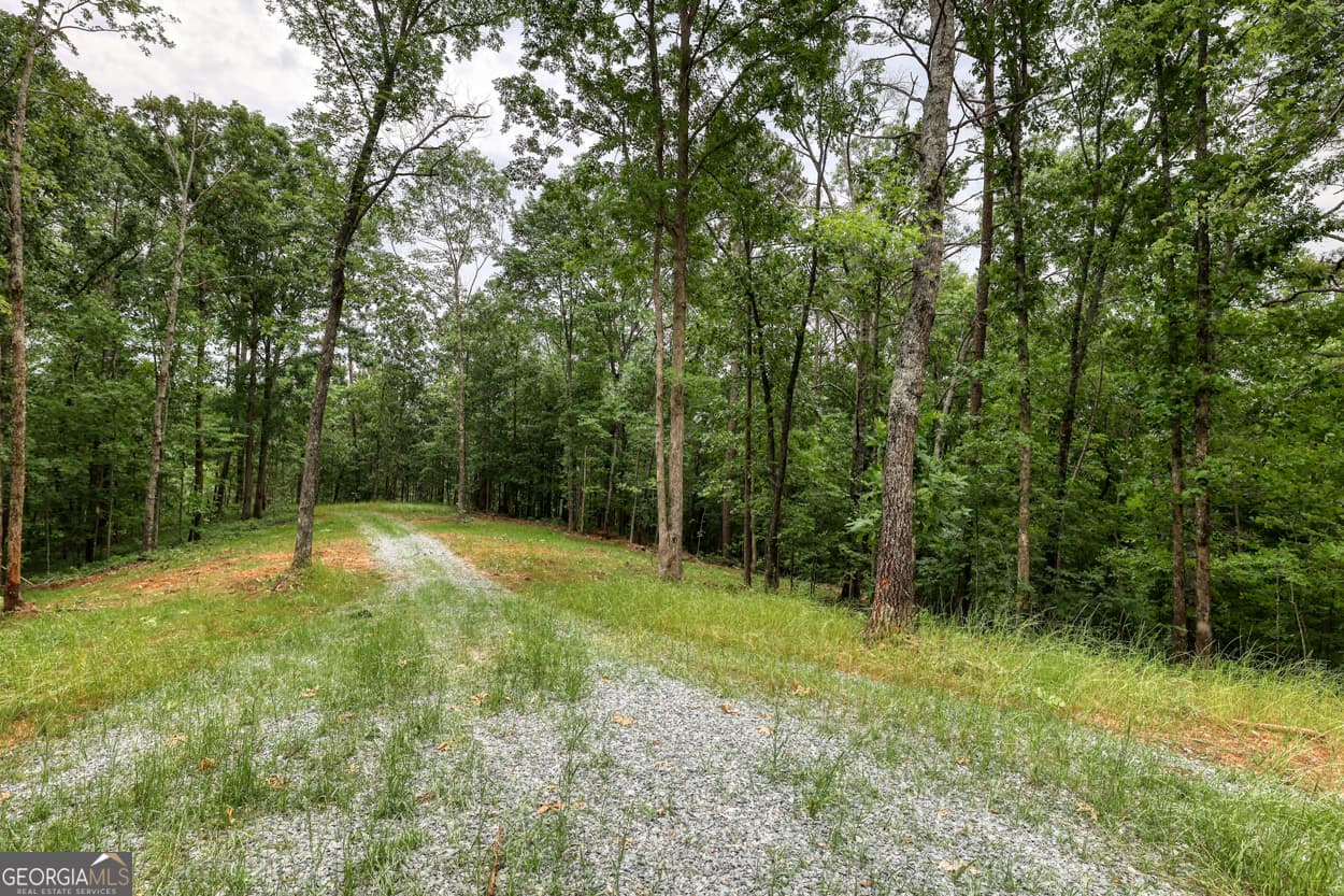 agriculture for sale at 0 Shady Grove Road, Talking Rock, GA 30175 — photo 7