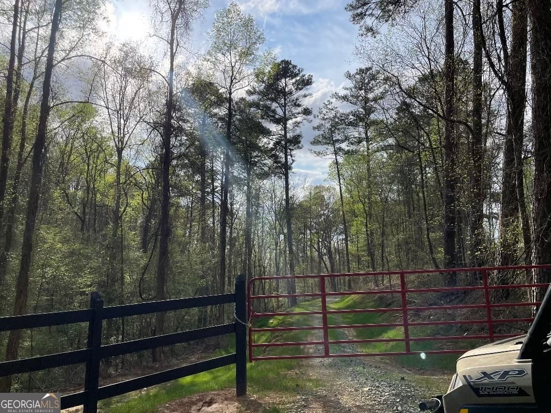 agriculture for sale at 0 Shady Grove Road, Talking Rock, GA 30175 — photo 3