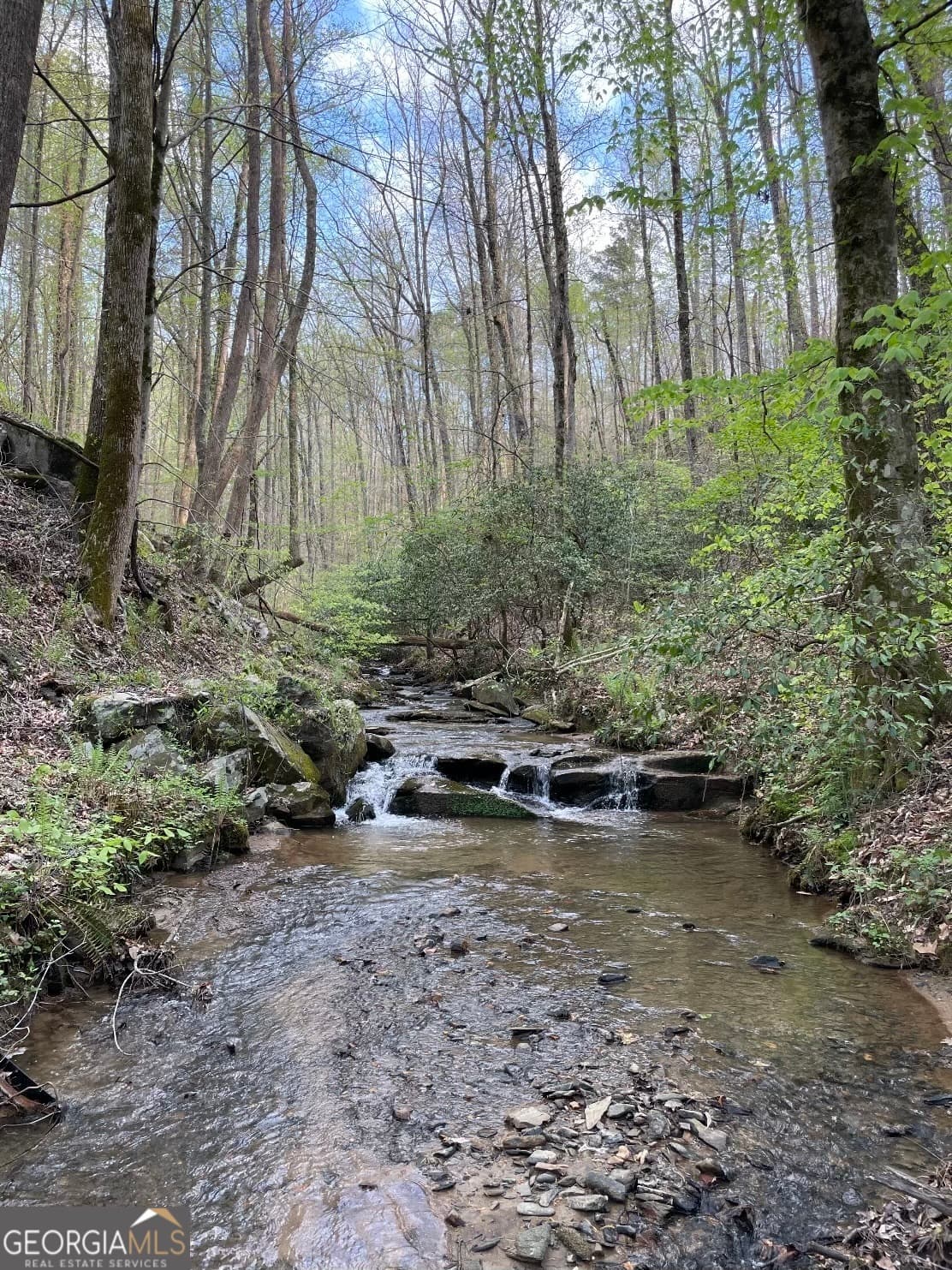 agriculture for sale at 0 Shady Grove Road, Talking Rock, GA 30175