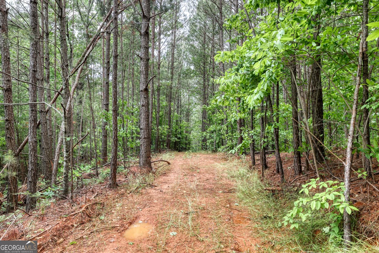agriculture for sale at 0 Shady Grove Road, Talking Rock, GA 30175 — photo 9