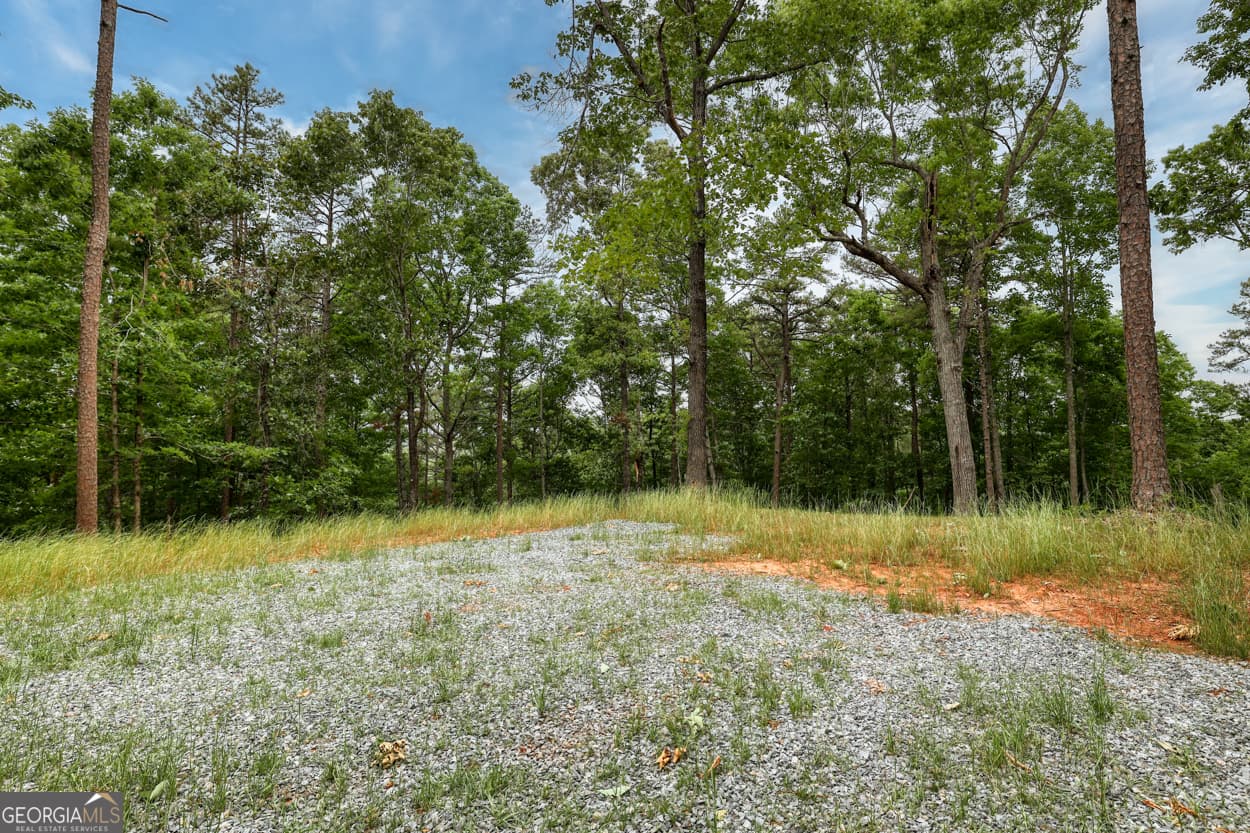 agriculture for sale at 0 Shady Grove Road, Talking Rock, GA 30175 — photo 10