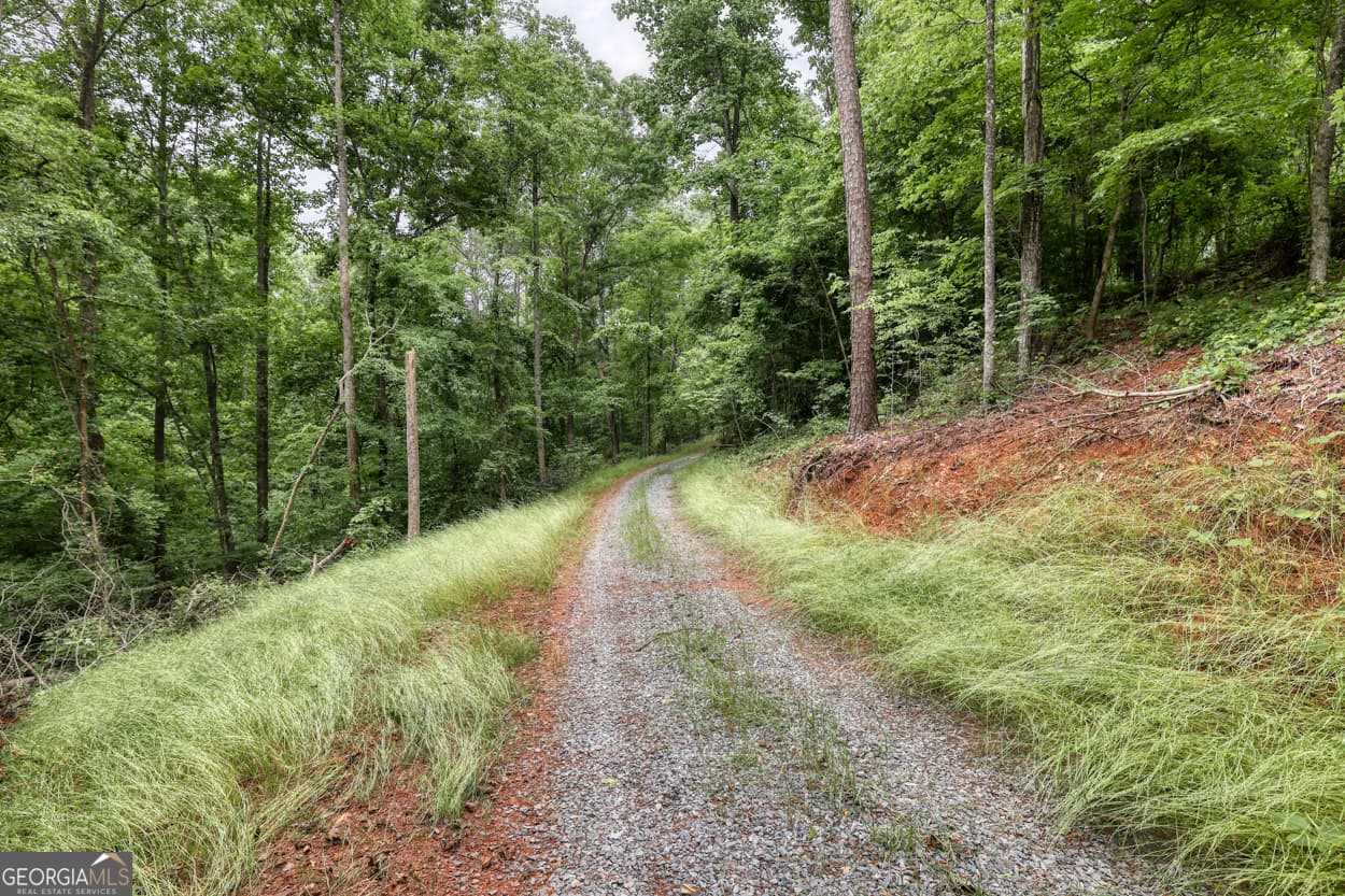 agriculture for sale at 0 Shady Grove Road, Talking Rock, GA 30175 — photo 4