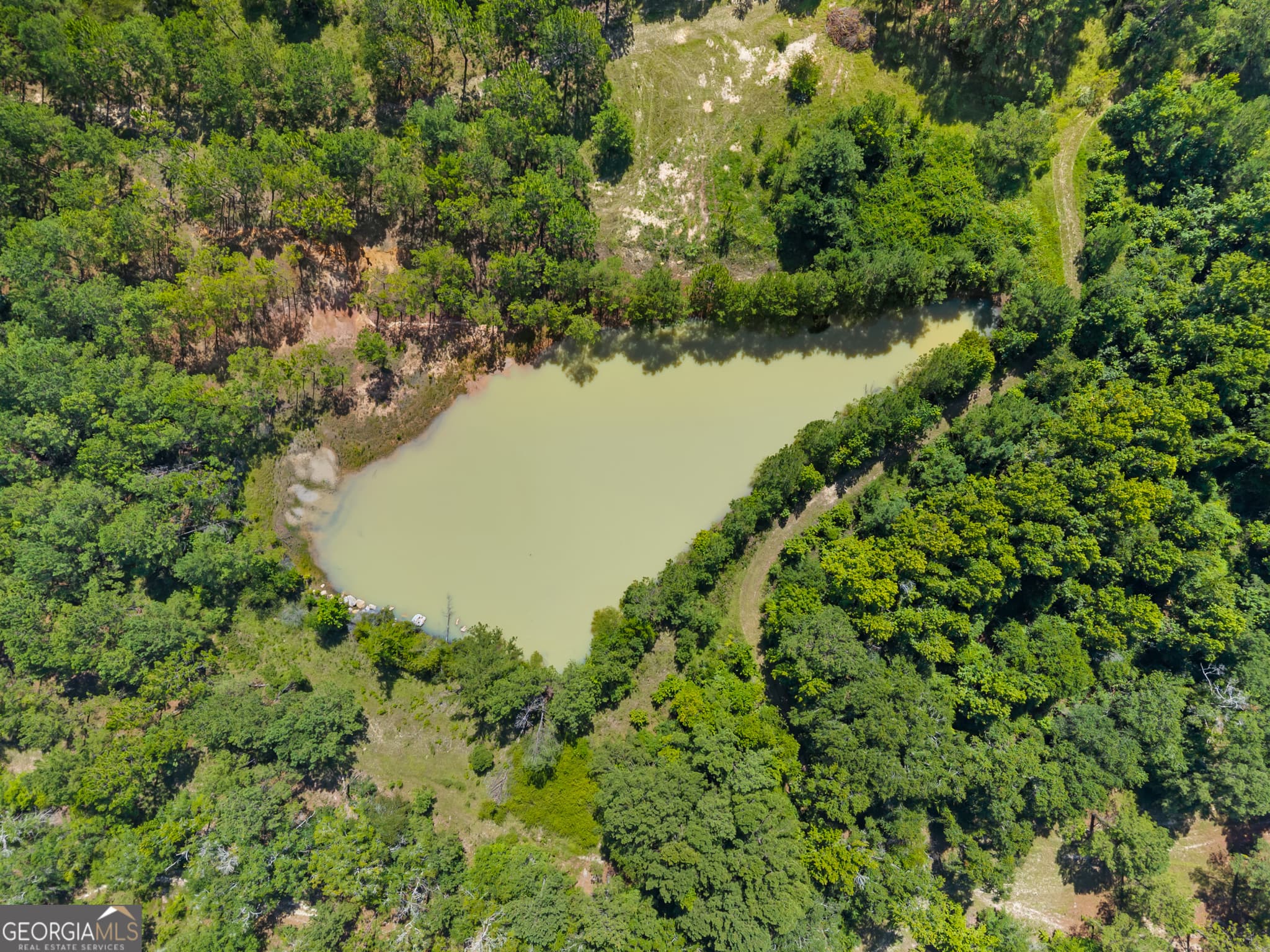 unimproved land for sale at 1214 Ga Highway 21, Millen, GA 30442 — photo 6