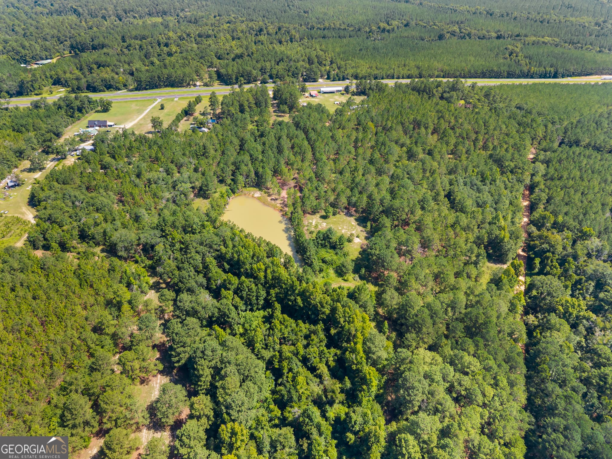 unimproved land for sale at 1214 Ga Highway 21, Millen, GA 30442 — photo 7