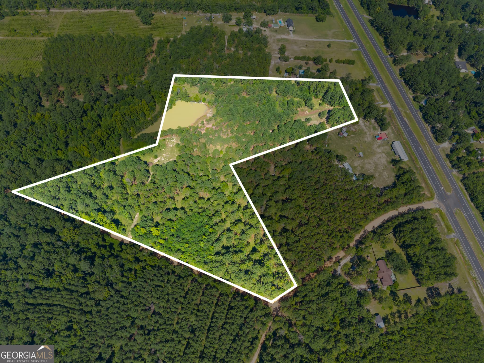 unimproved land for sale at 1214 Ga Highway 21, Millen, GA 30442 — photo 3