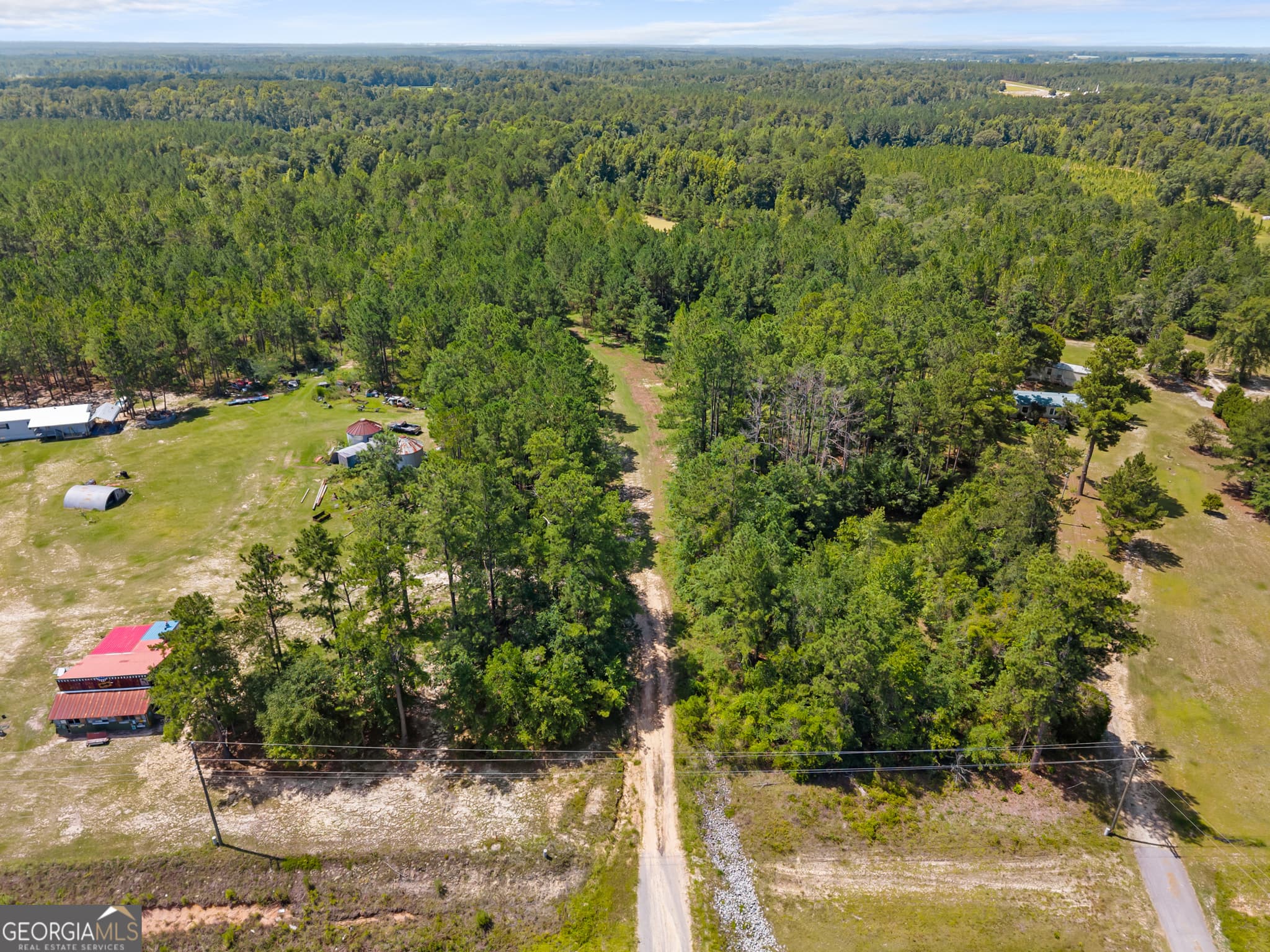 unimproved land for sale at 1214 Ga Highway 21, Millen, GA 30442 — photo 9