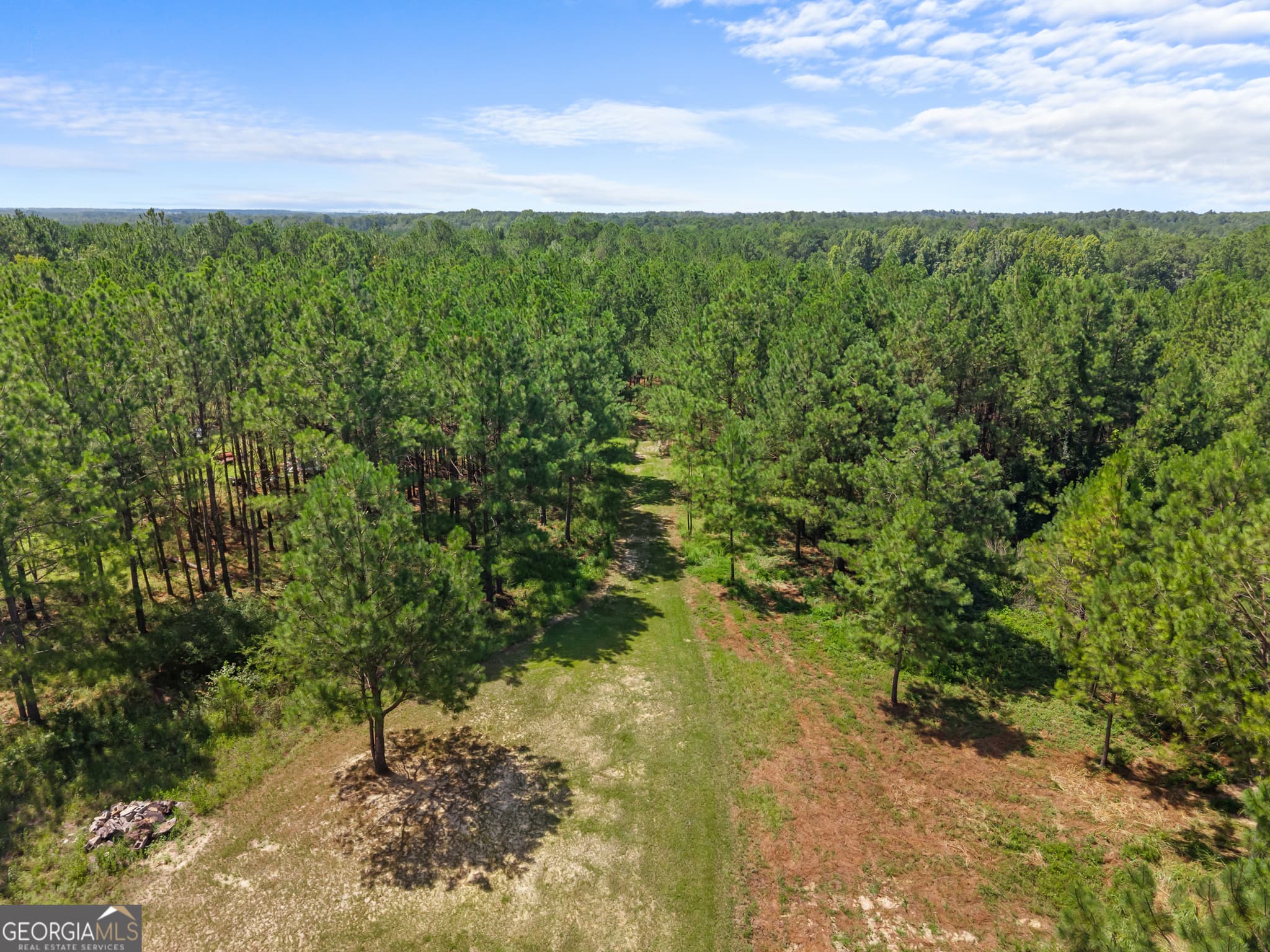 unimproved land for sale at 1214 Ga Highway 21, Millen, GA 30442 — photo 10