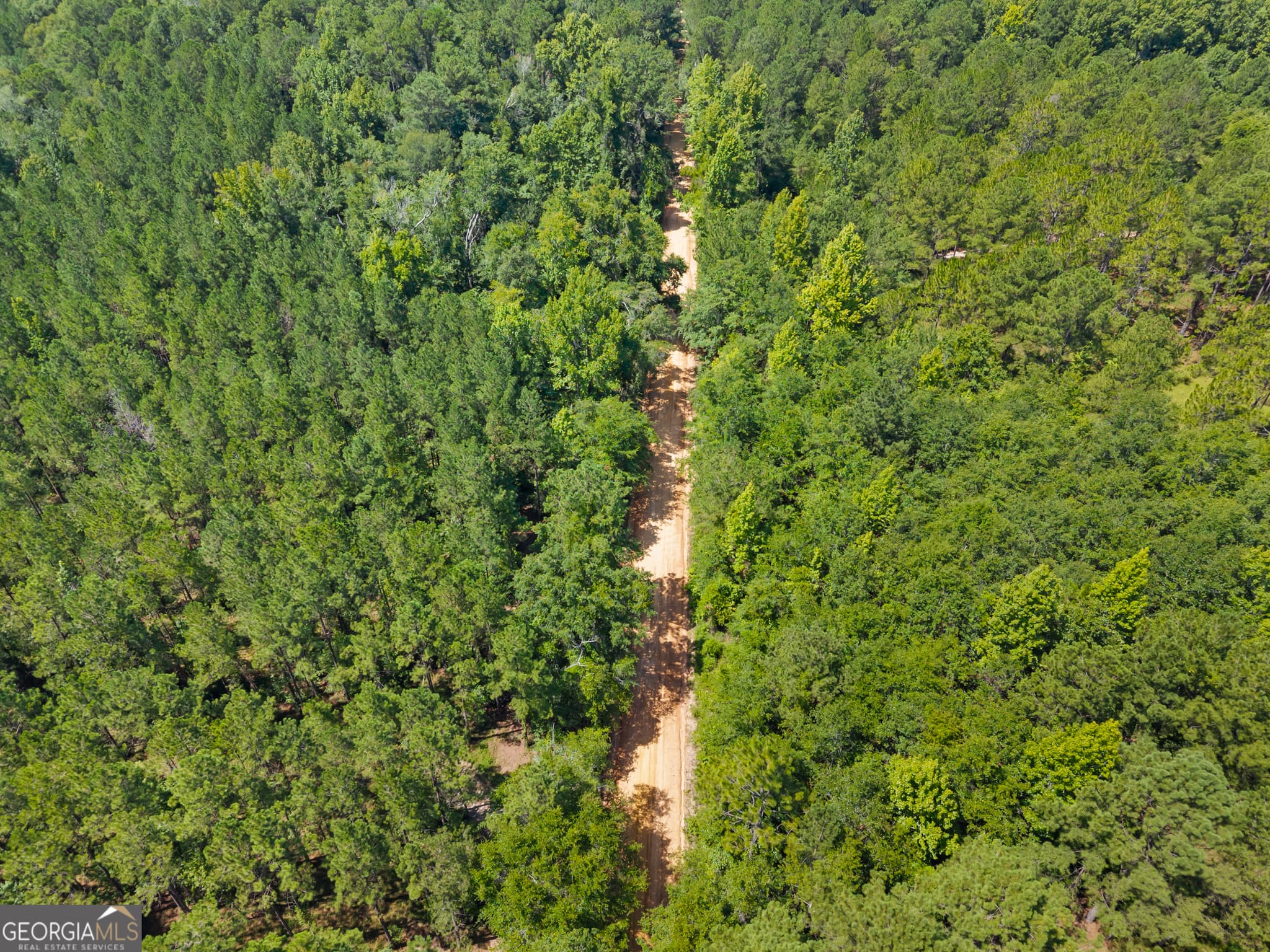 unimproved land for sale at 1214 Ga Highway 21, Millen, GA 30442 — photo 8