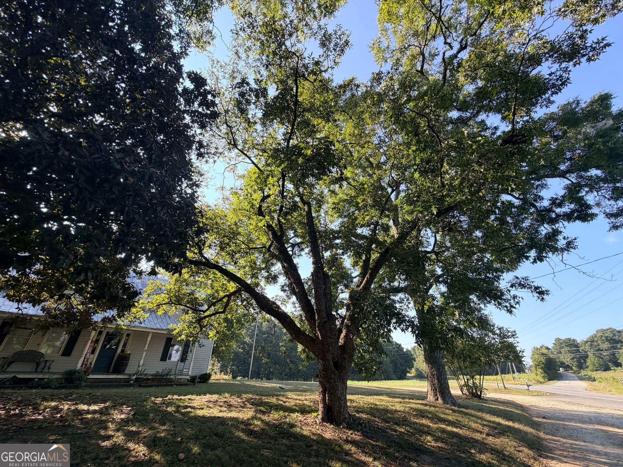 agriculture for sale at 5587 Elberton Highway, Hartwell, GA 30643 — photo 3