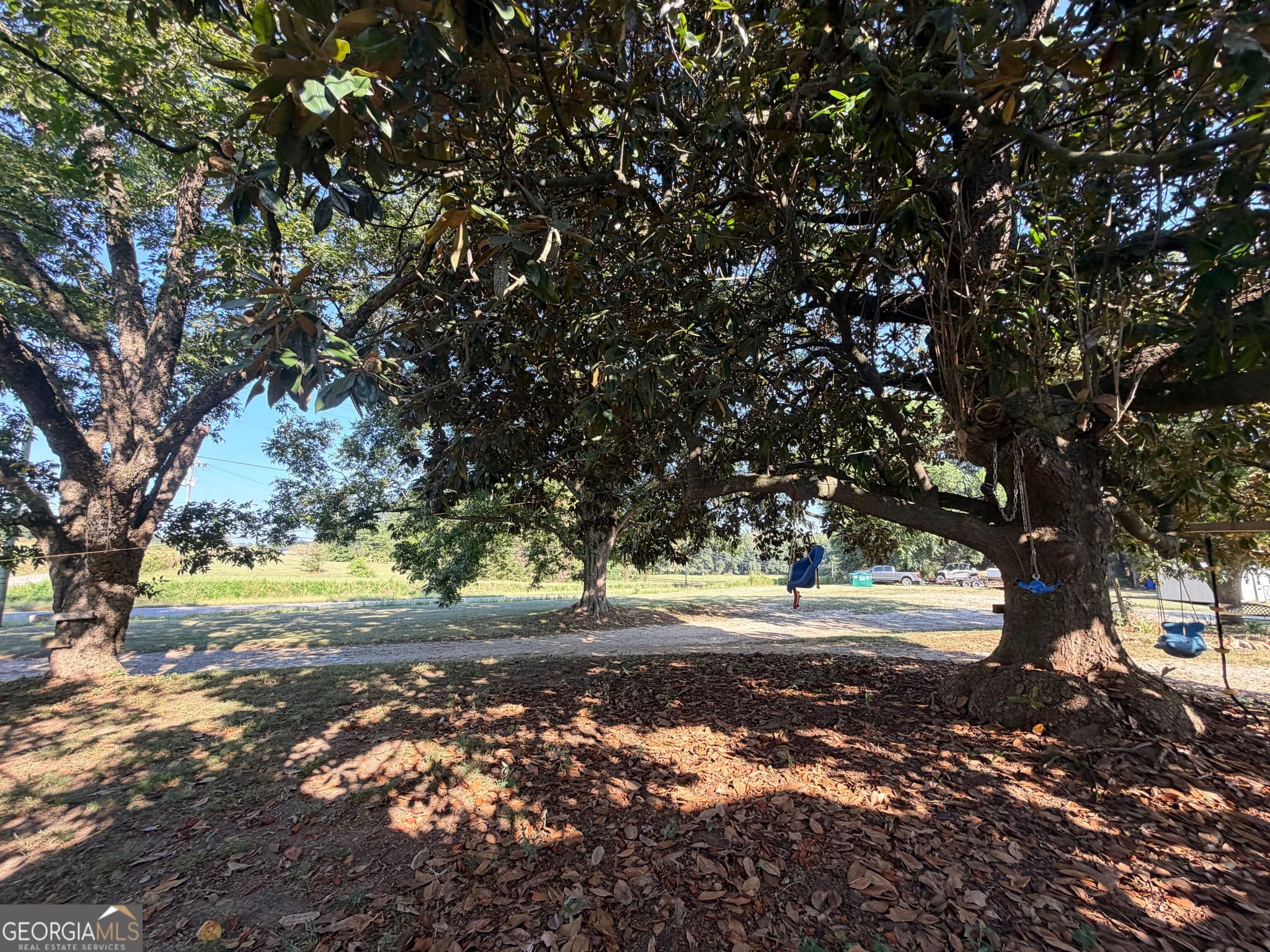agriculture for sale at 5587 Elberton Highway, Hartwell, GA 30643 — photo 8