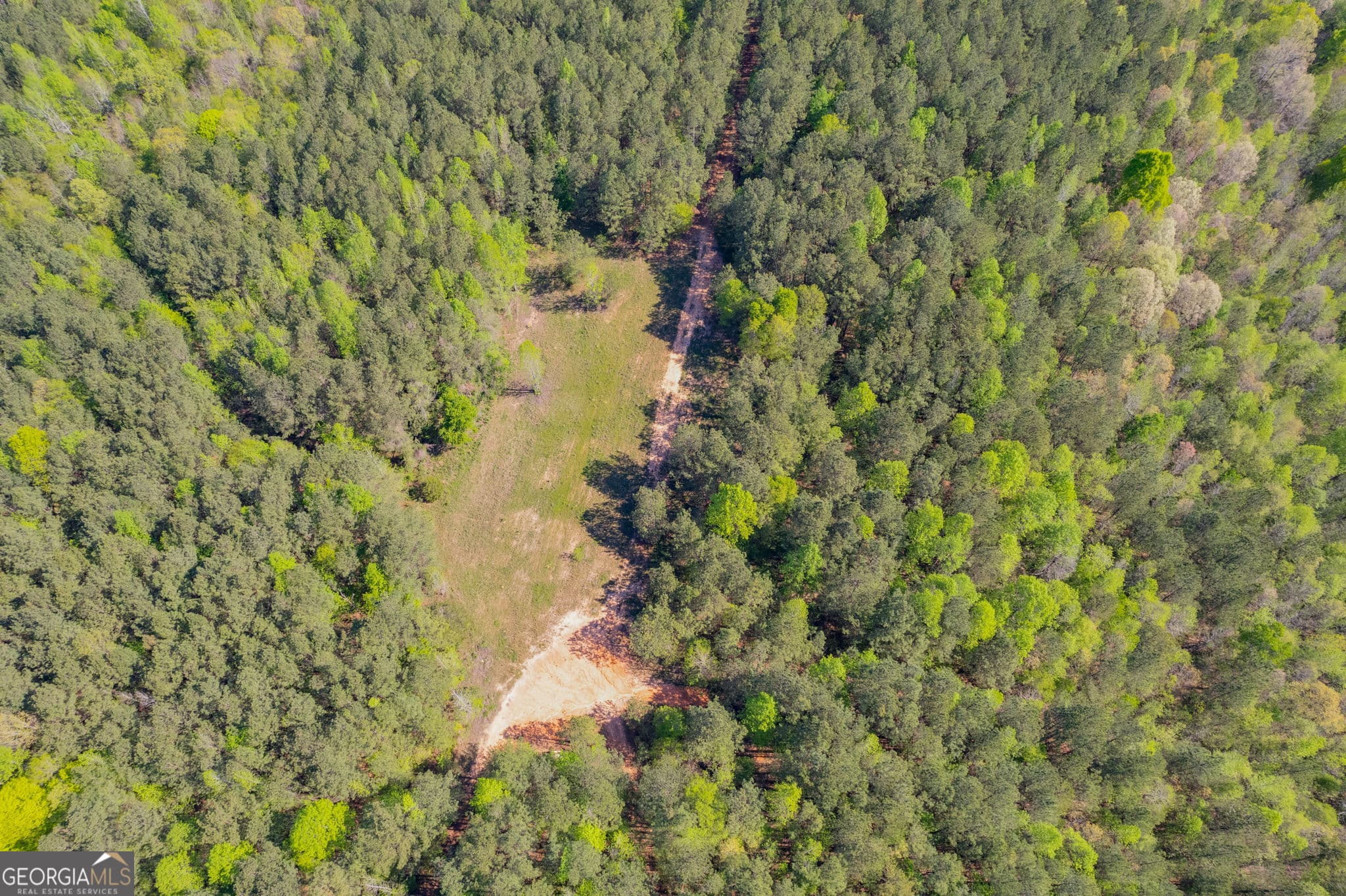 agriculture for sale at 0 Lipham Road, Franklin, GA 30217 — photo 2