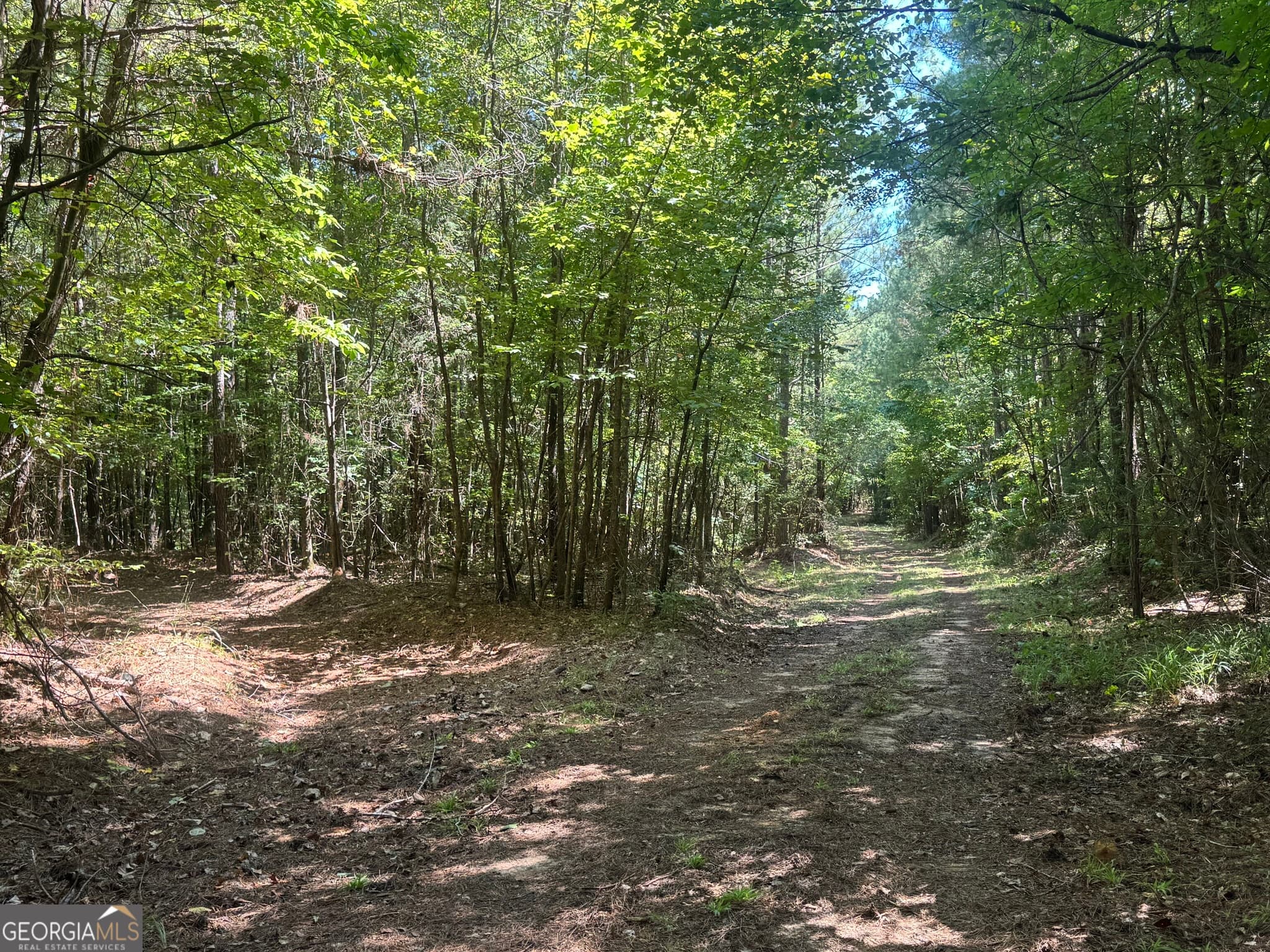agriculture for sale at 0 Lipham Road, Franklin, GA 30217 — photo 6