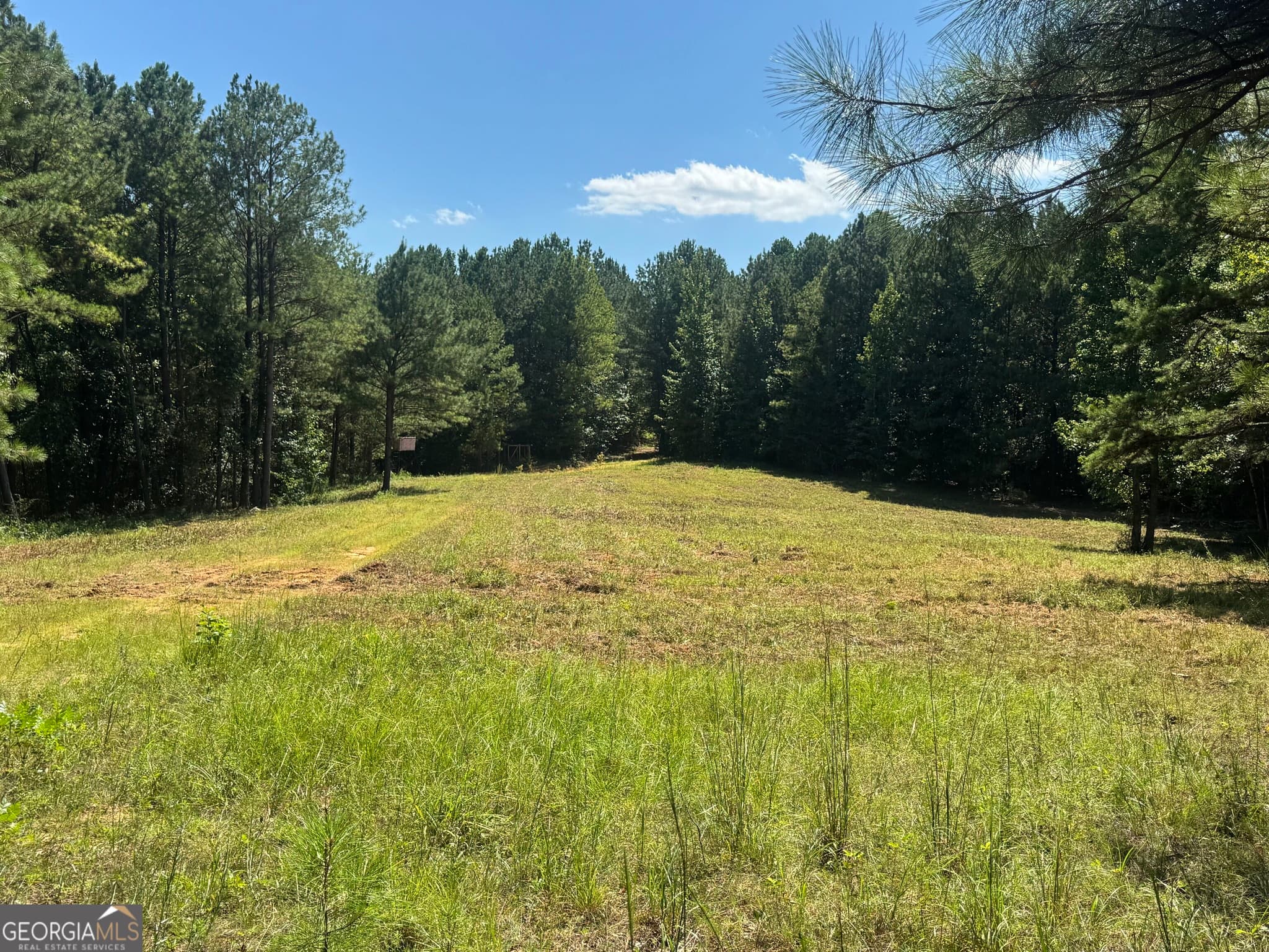 agriculture for sale at 0 Lipham Road, Franklin, GA 30217 — photo 7