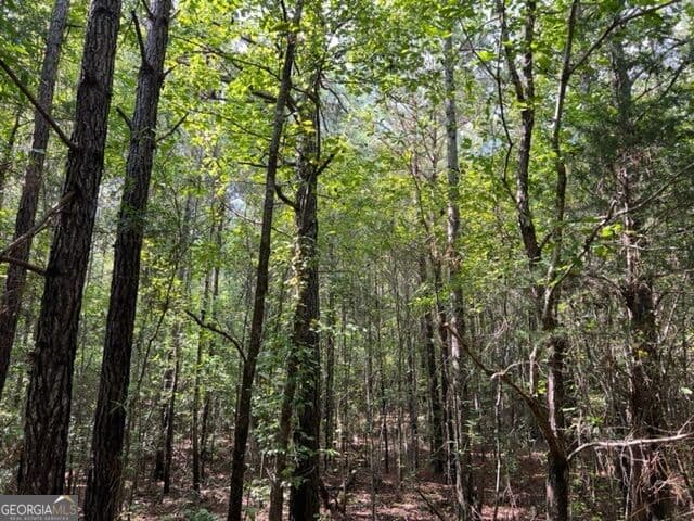 agriculture for sale at 0 Lipham Road, Franklin, GA 30217