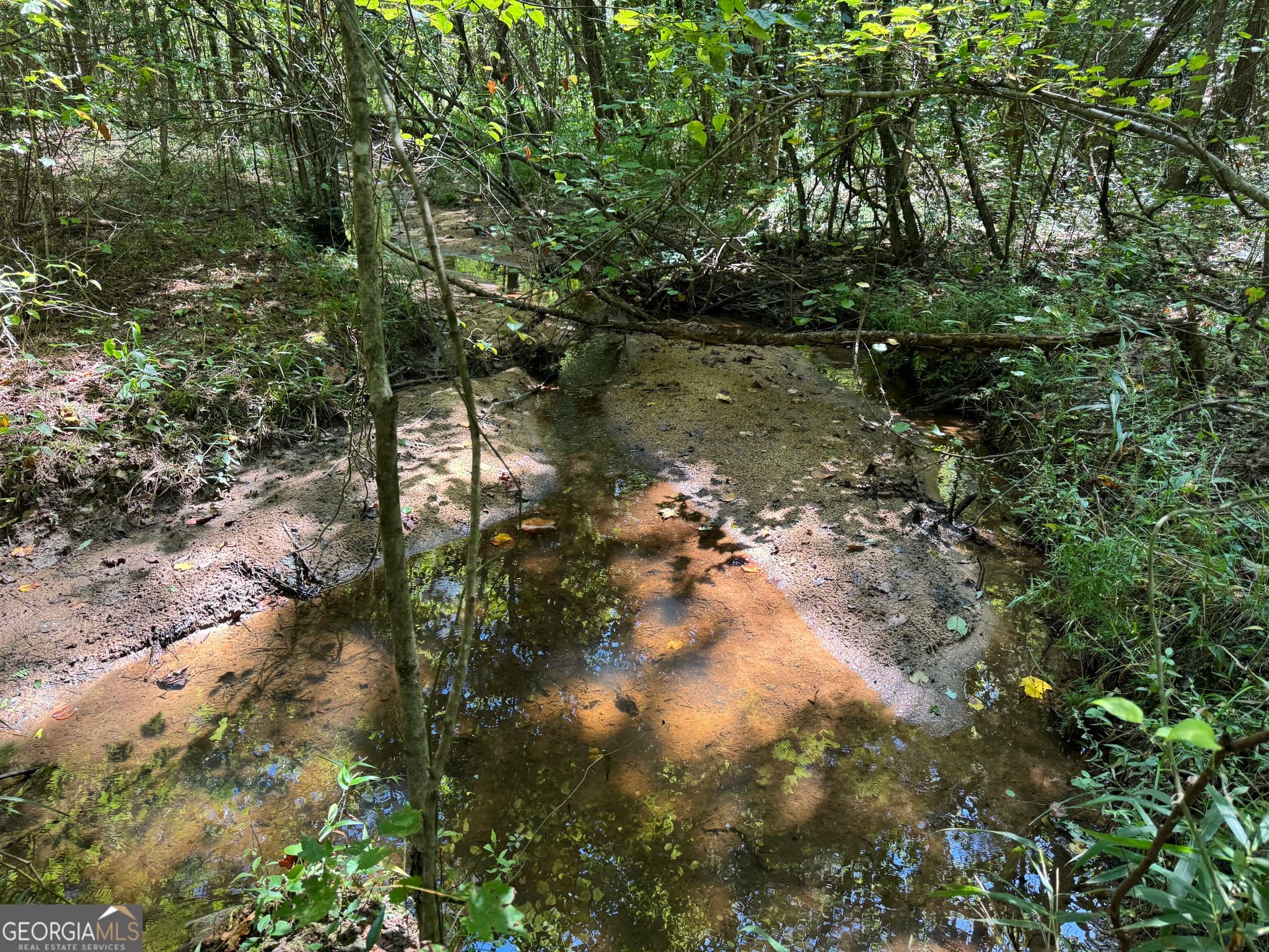 agriculture for sale at 0 Lipham Road, Franklin, GA 30217 — photo 5