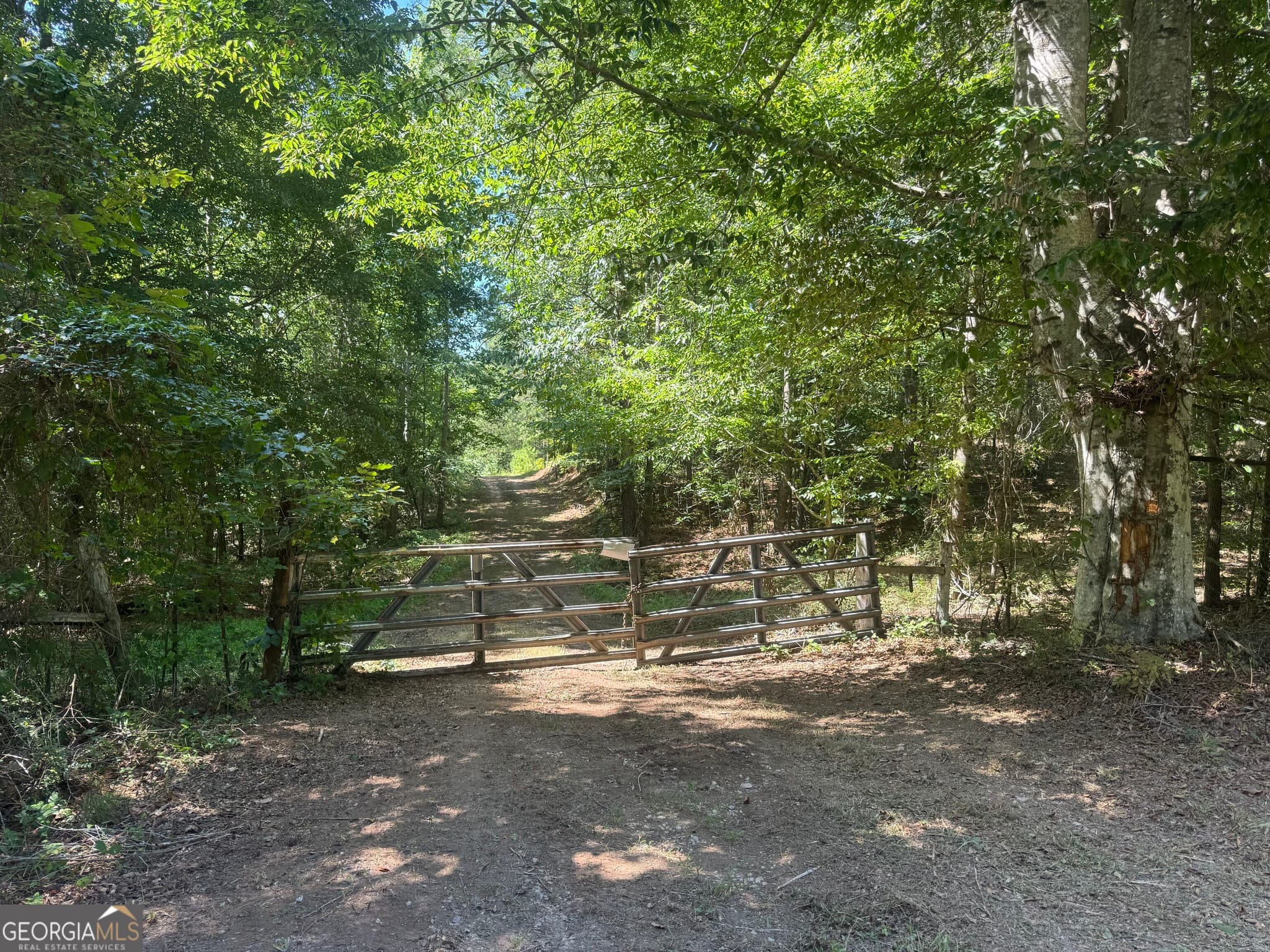 agriculture for sale at 0 Lipham Road, Franklin, GA 30217 — photo 10