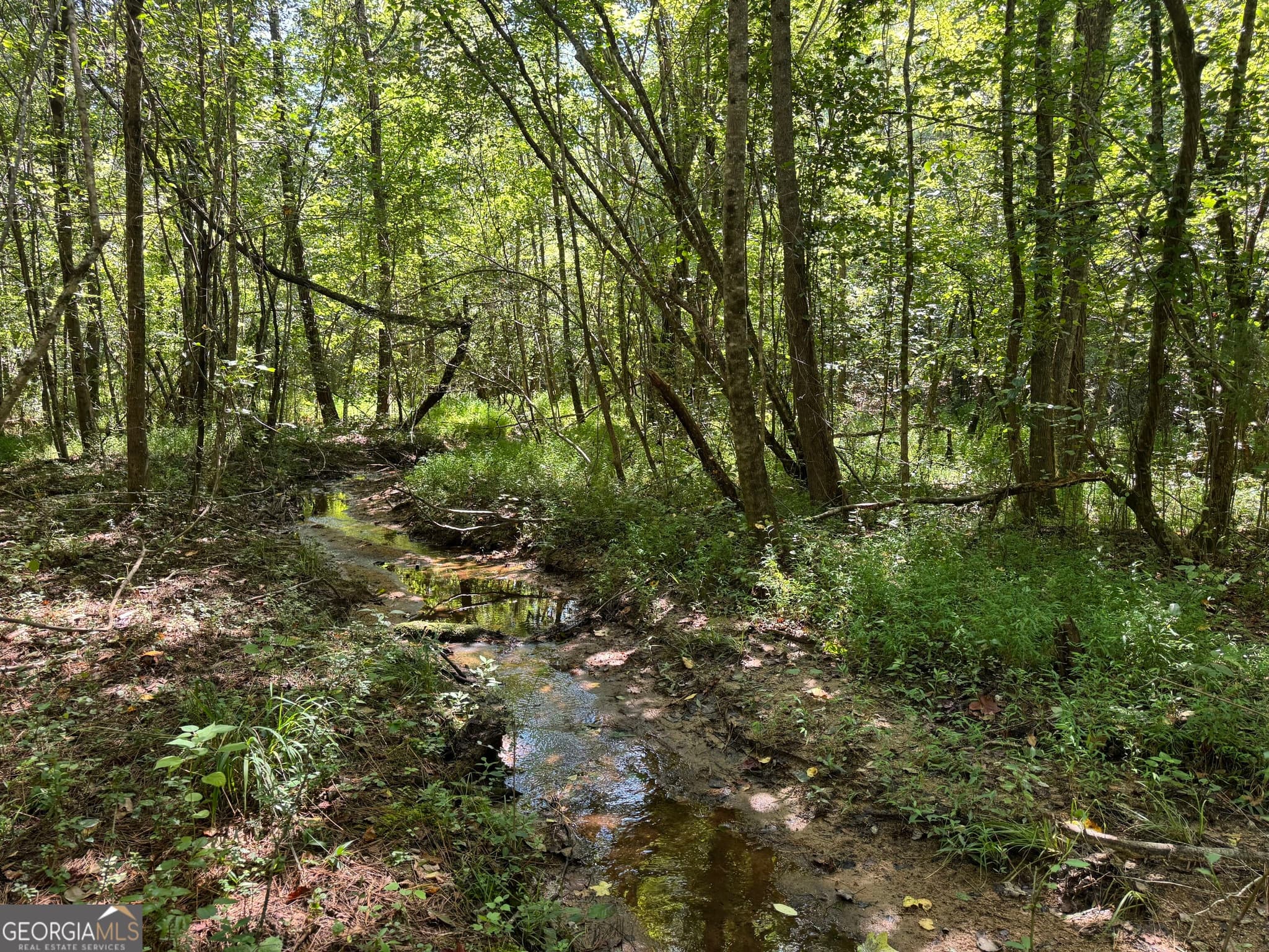 agriculture for sale at 0 Lipham Road, Franklin, GA 30217 — photo 4