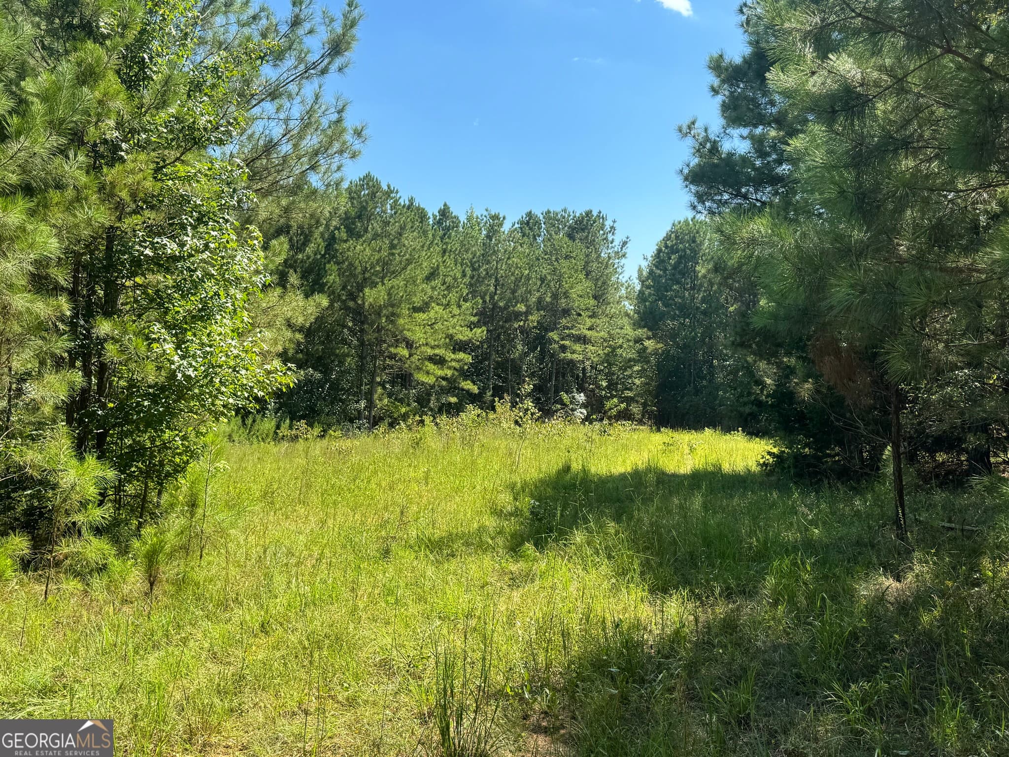 agriculture for sale at 0 Lipham Road, Franklin, GA 30217 — photo 8