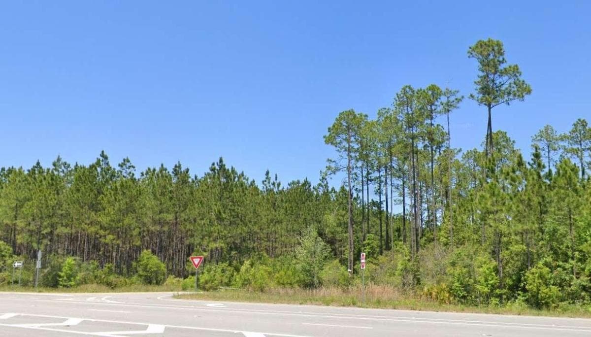 unimproved land for sale at 0 Valdosta Highway, Waycross, GA 31503 — photo 1 of 2